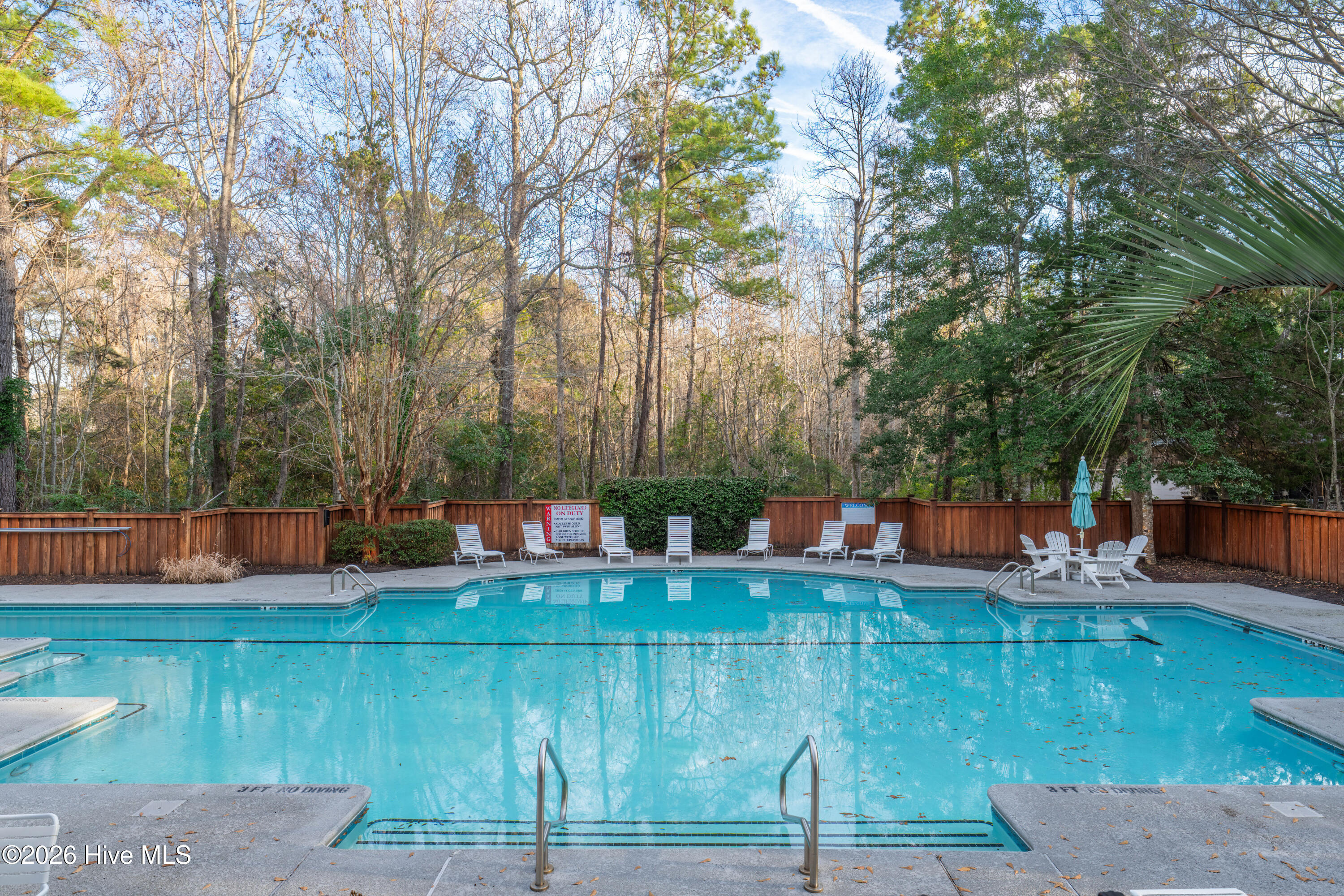 100549444 | Photo 76