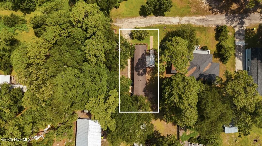 100517636 | Photo 46