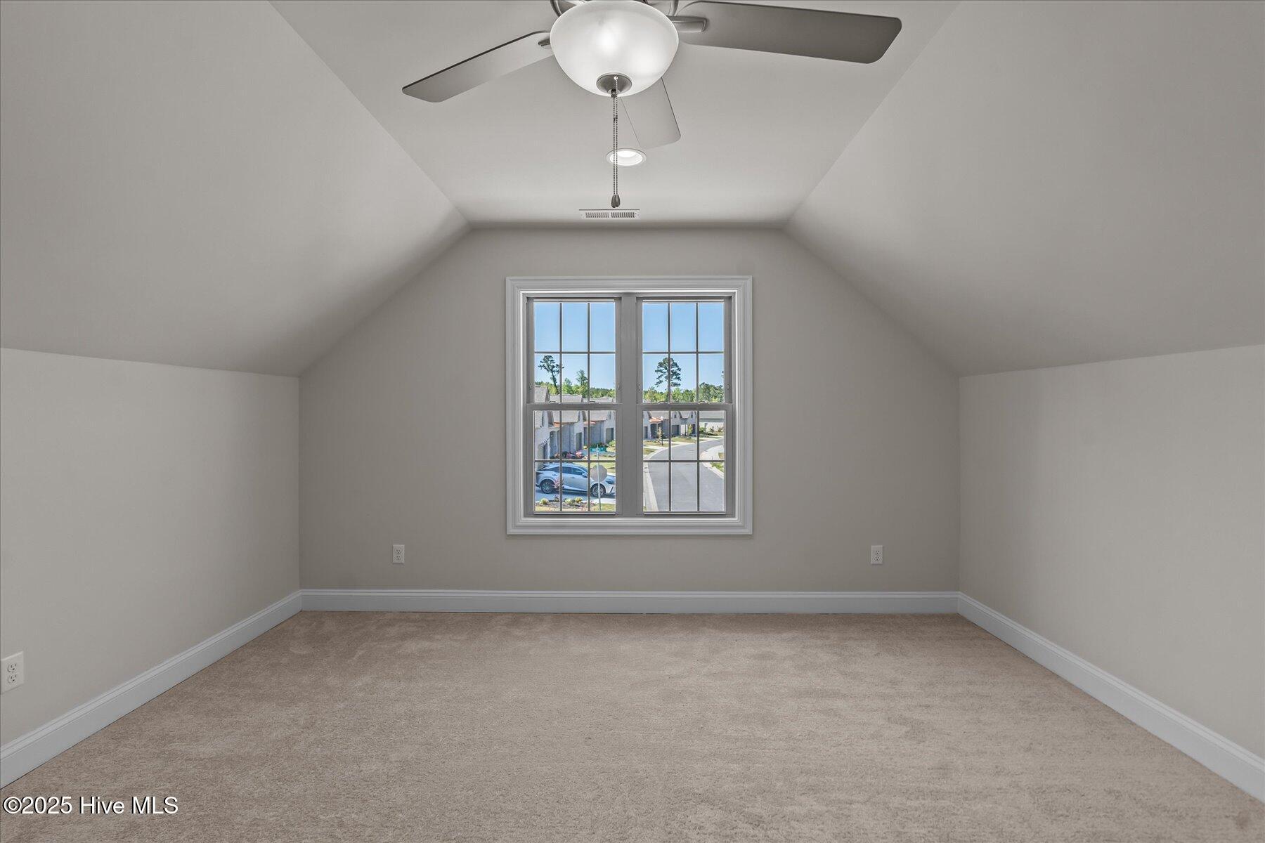 100501271 | Photo 20