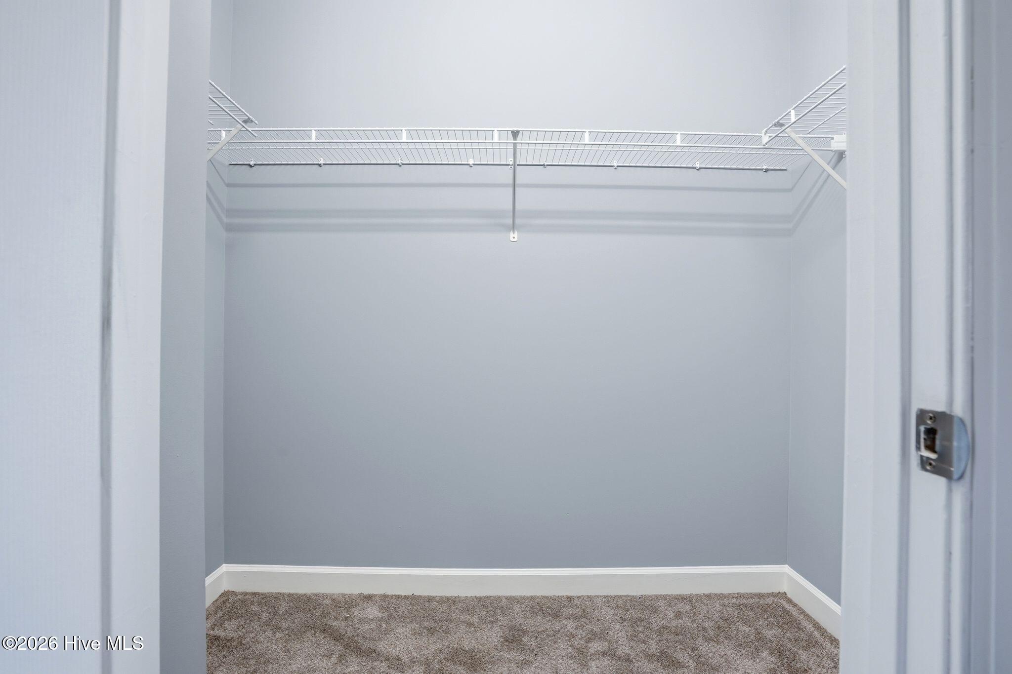 100559771 | Photo 19