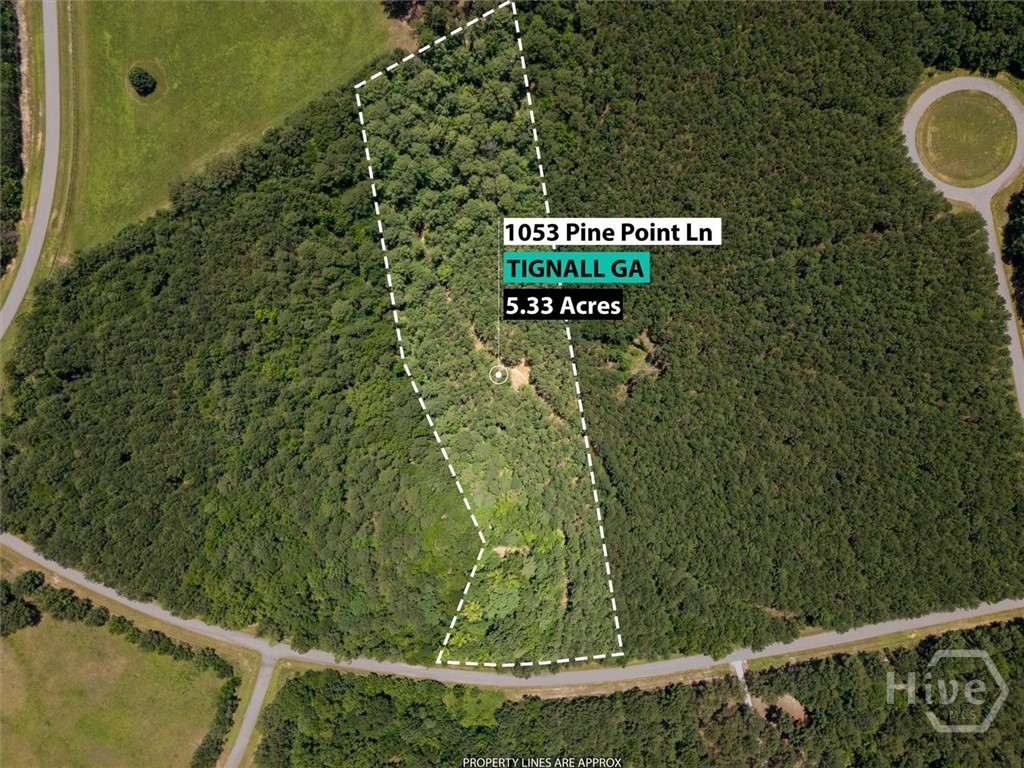 1st image of 1053 Pine Point Ln, Tignall, GA 30668 | MLS# CL360533