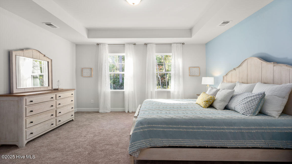 100528488 | Photo 18