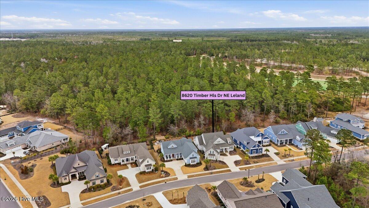 100558709 | Photo 90