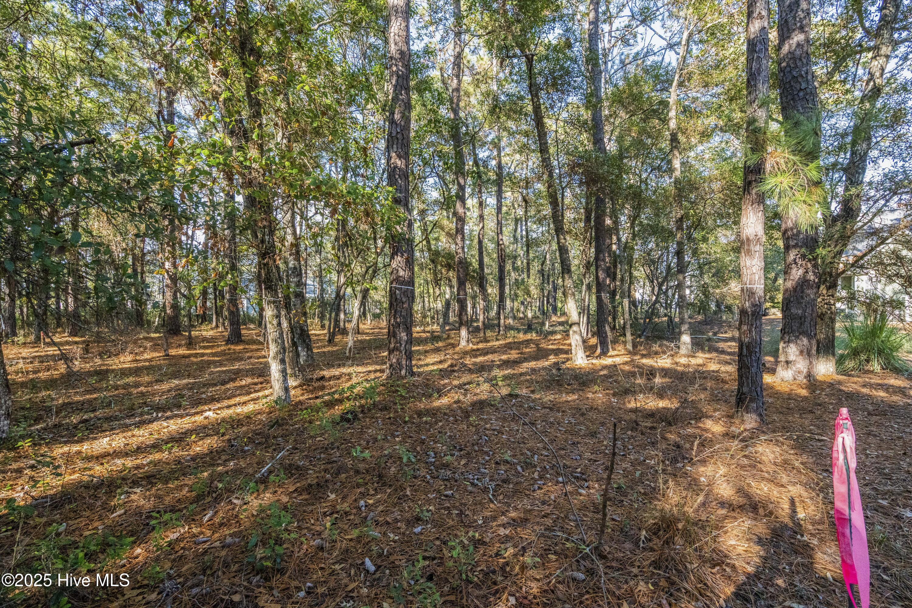 100545319 | Photo 11