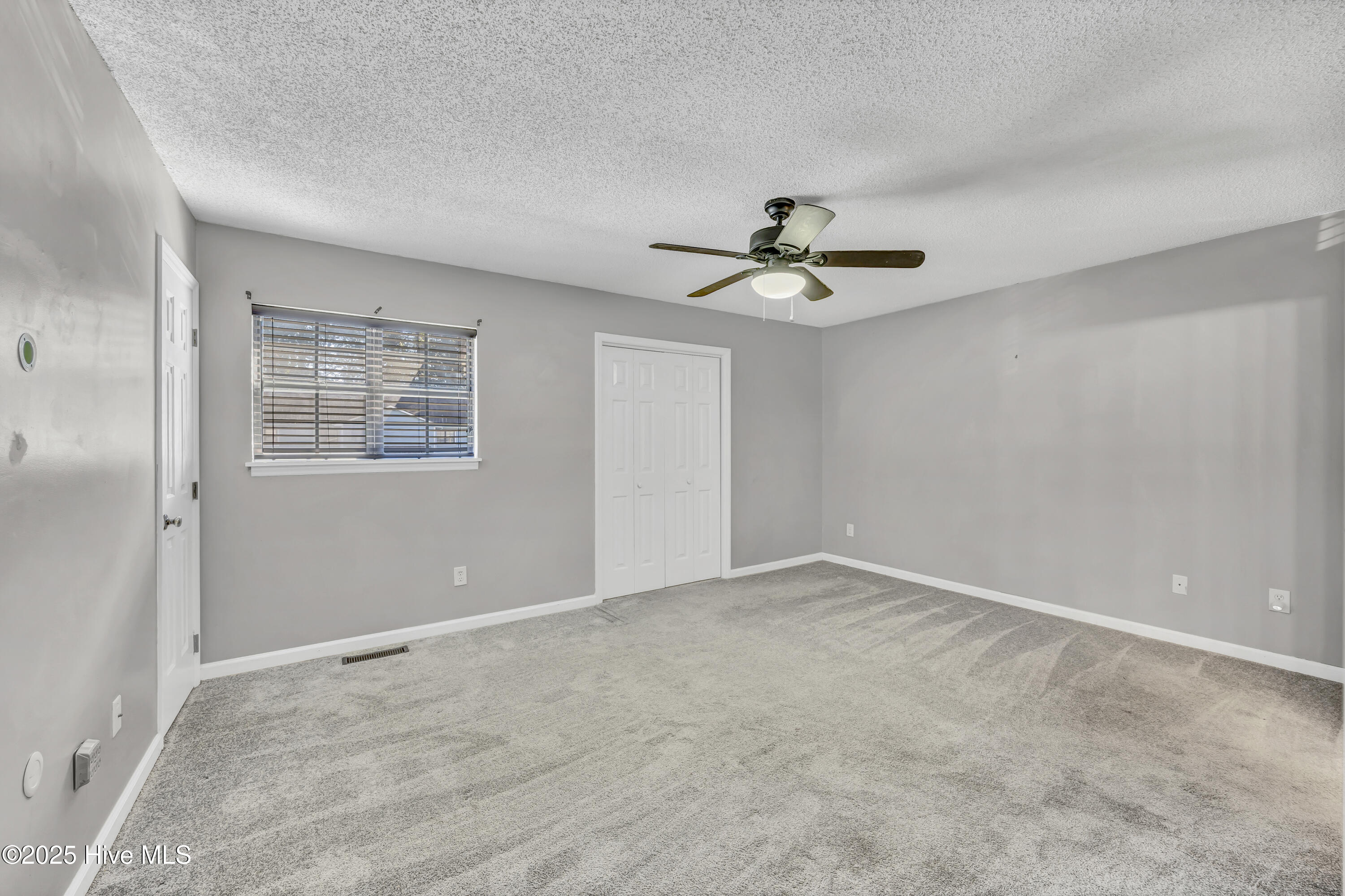 100537470 | Photo 11