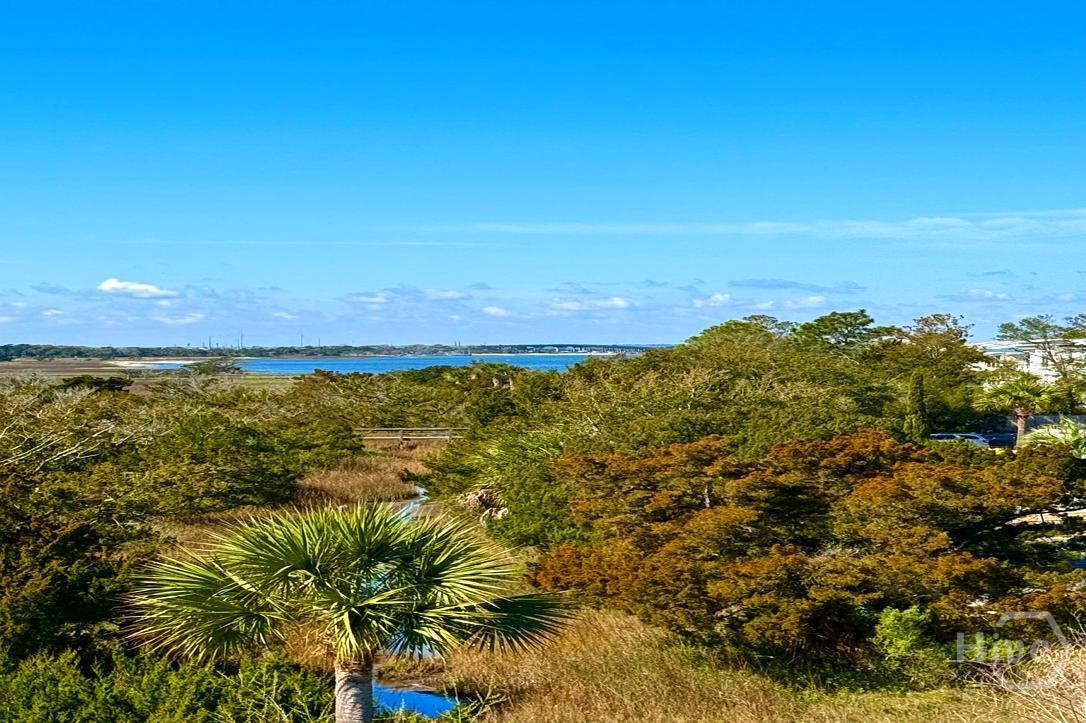 View of the water, marsh and Cockspur Lighthouse from your balcony
