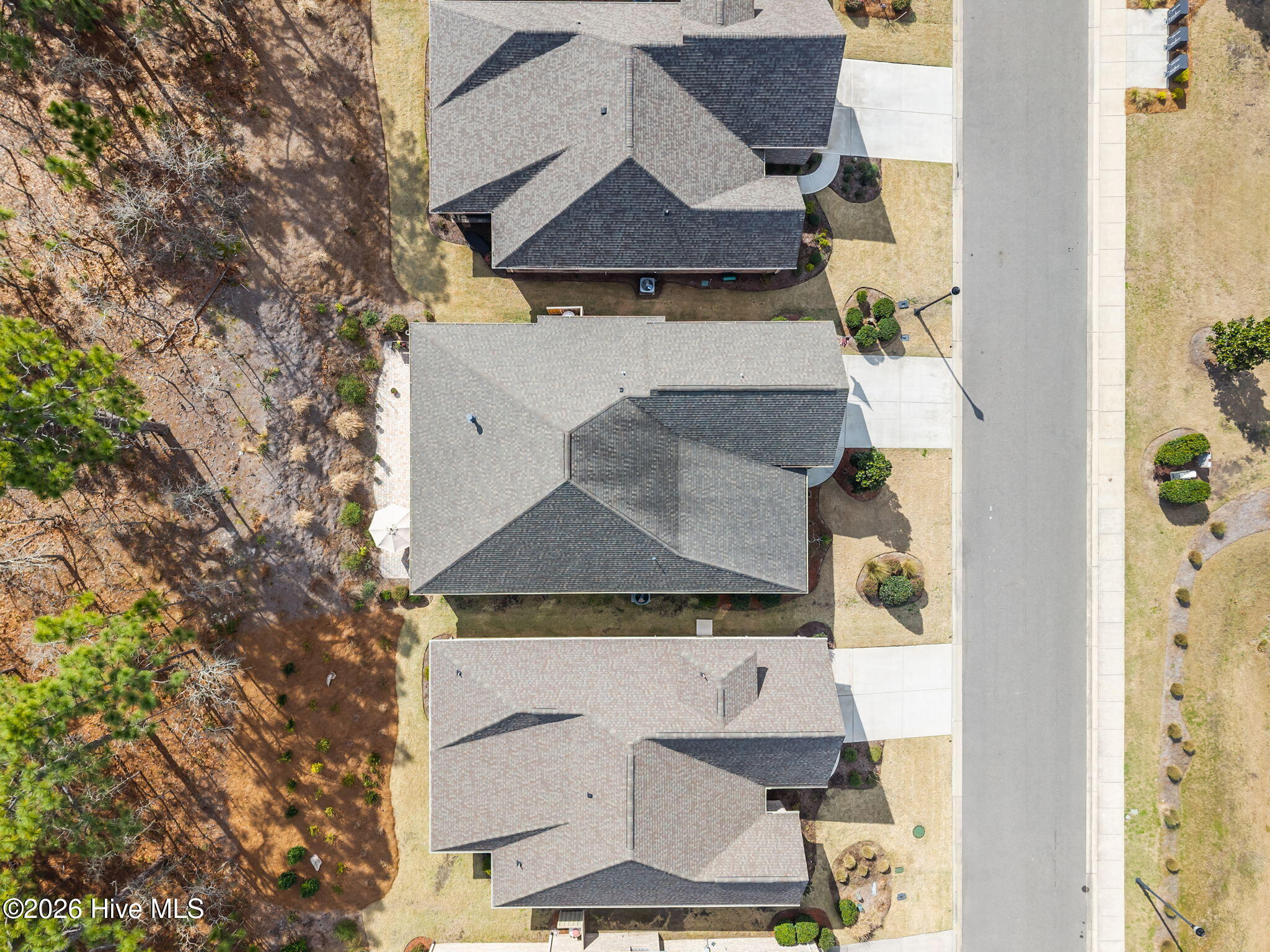 100565416 | Photo 56