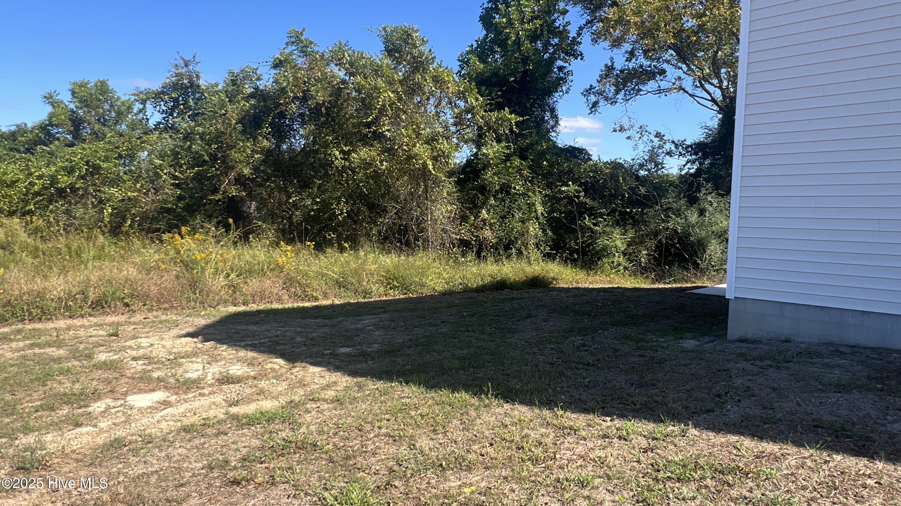 100505781 | Photo 29