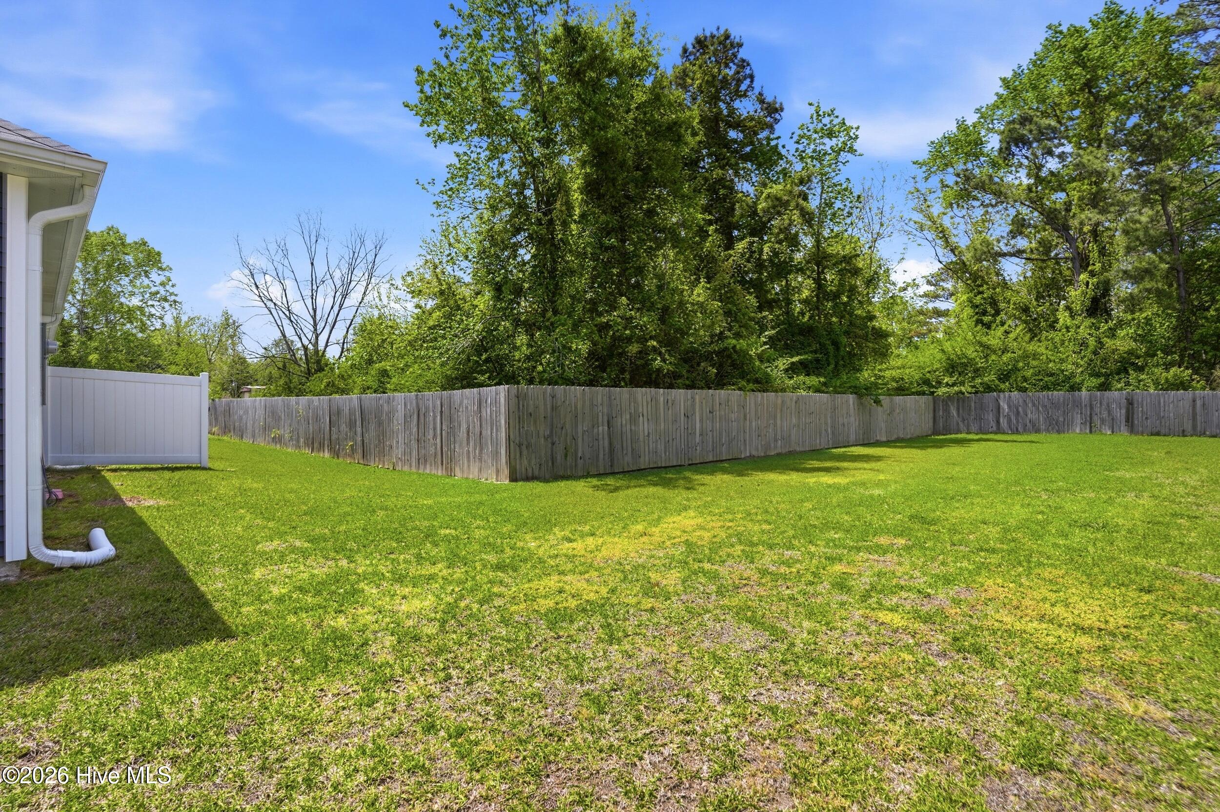 100566288 | Photo 25