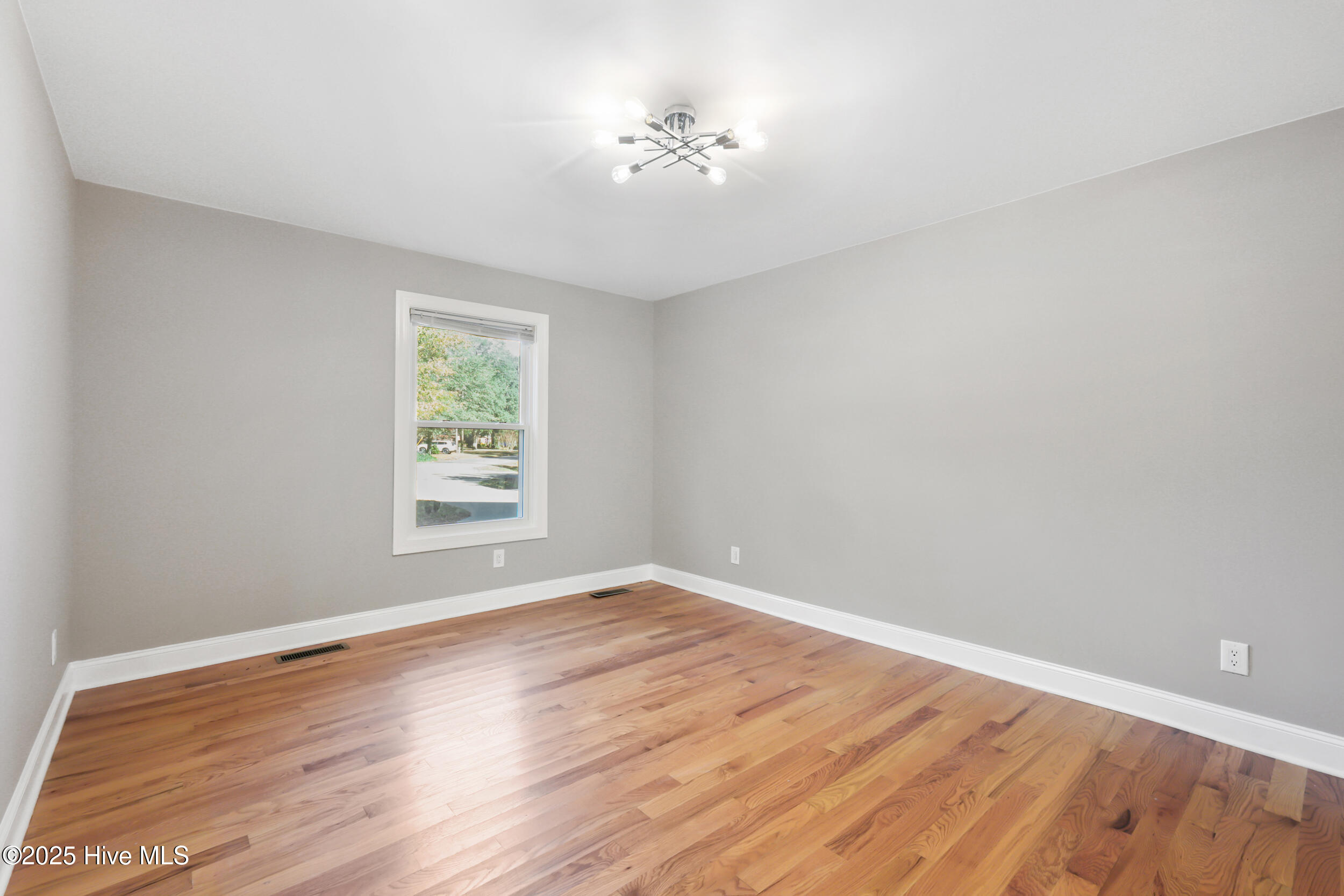 100542075 | Photo 41