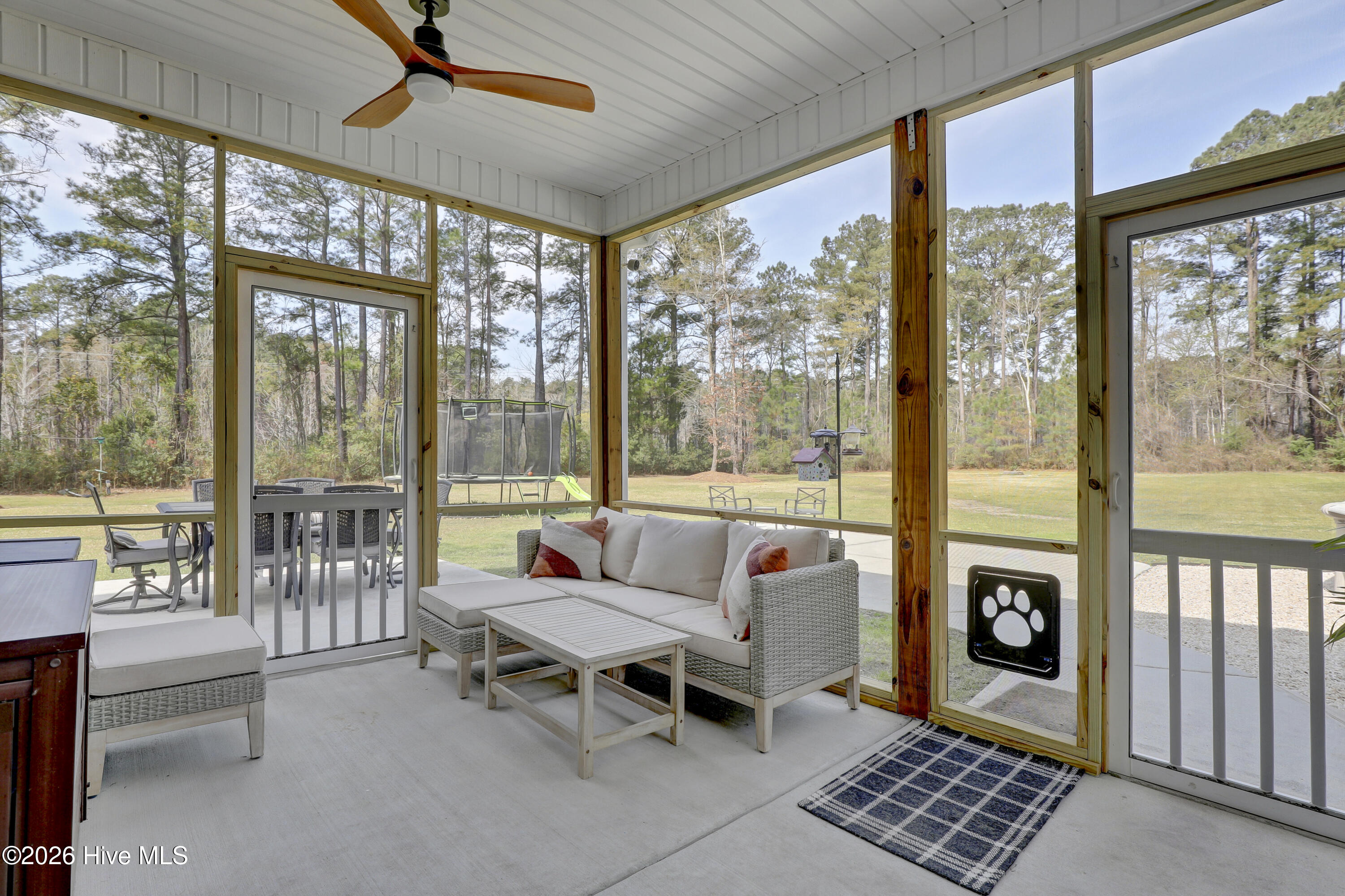 100562541 | Photo 32