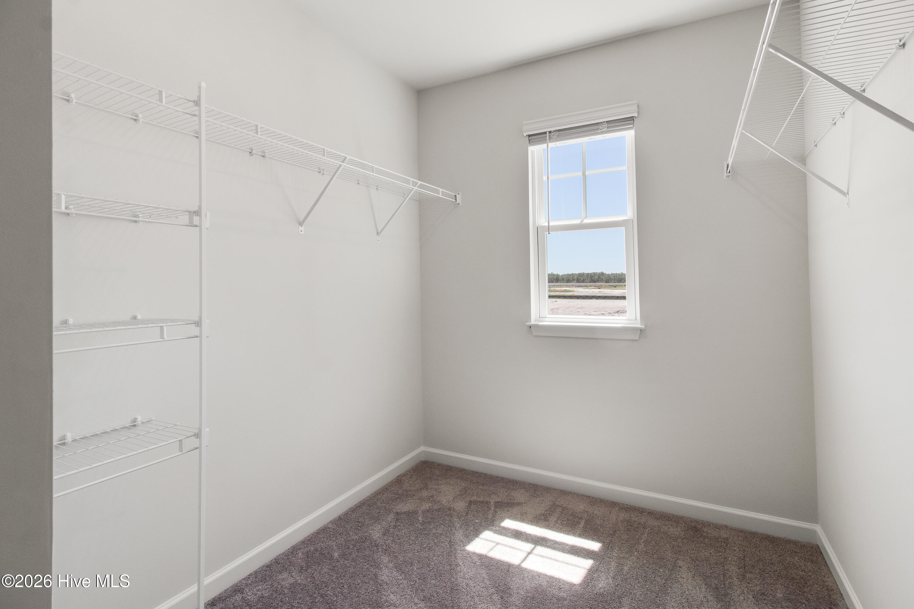 100565377 | Photo 14