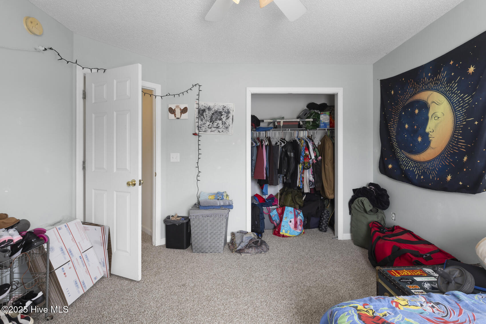 100490996 | Photo 32