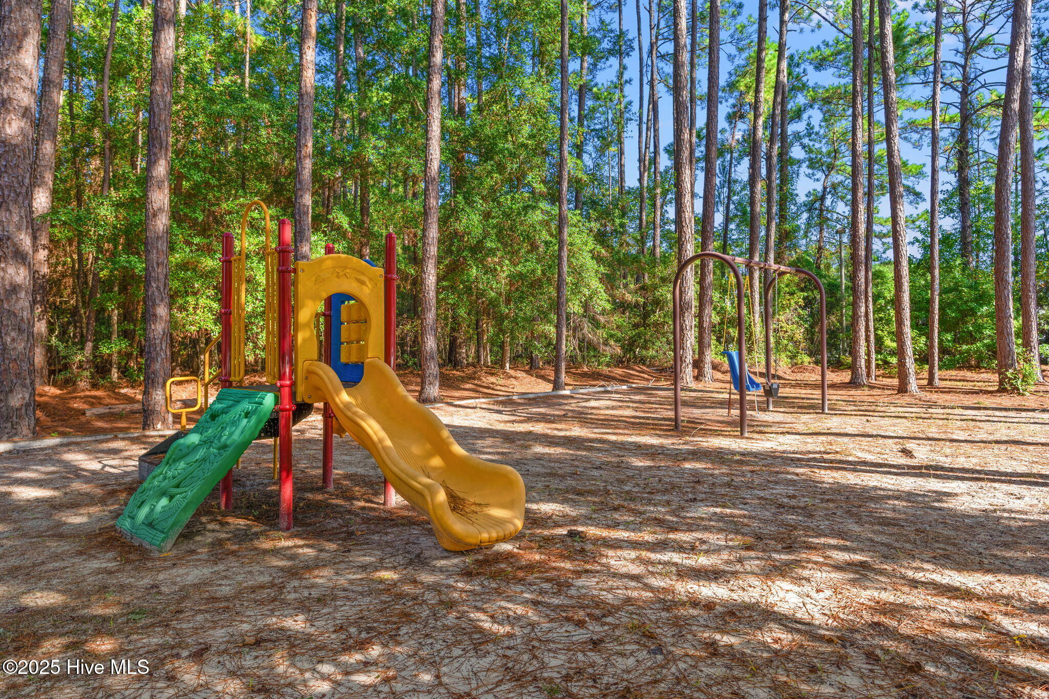 100535002 | Photo 43