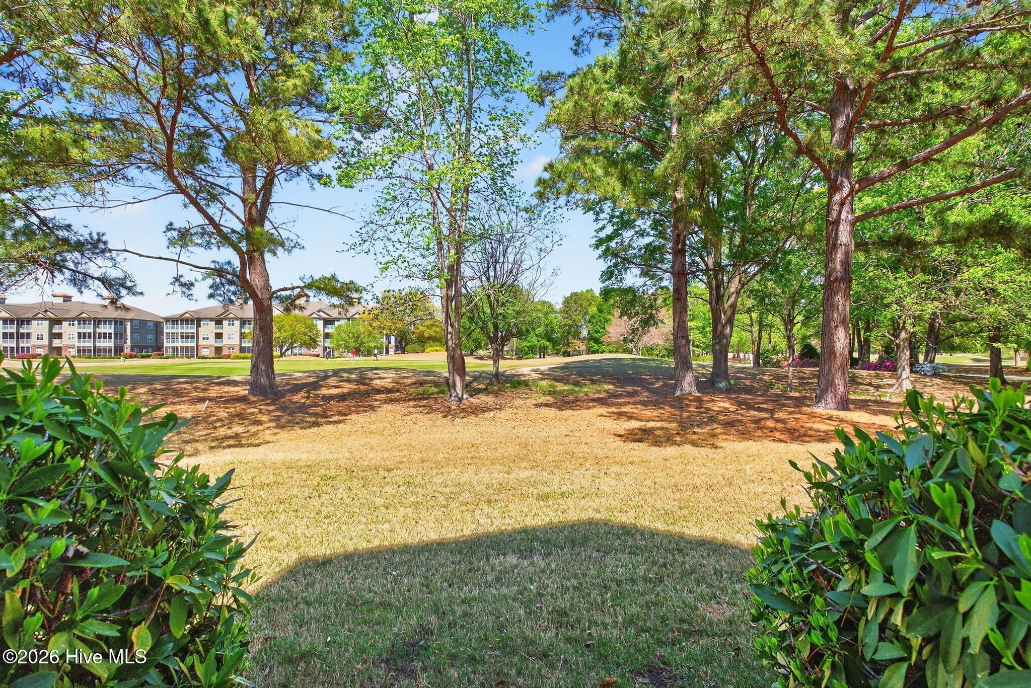 100564784 | Photo 44