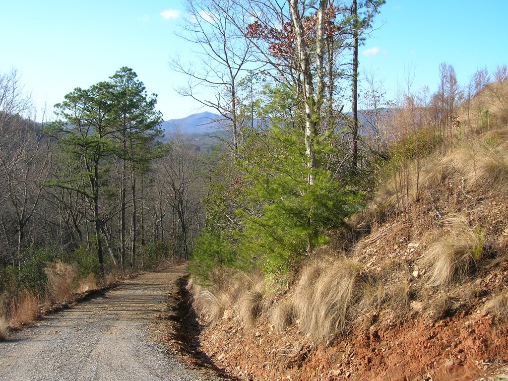 Exterior photo of 247 Rice Lane, Marble, NC 28905. MLS: 98543818