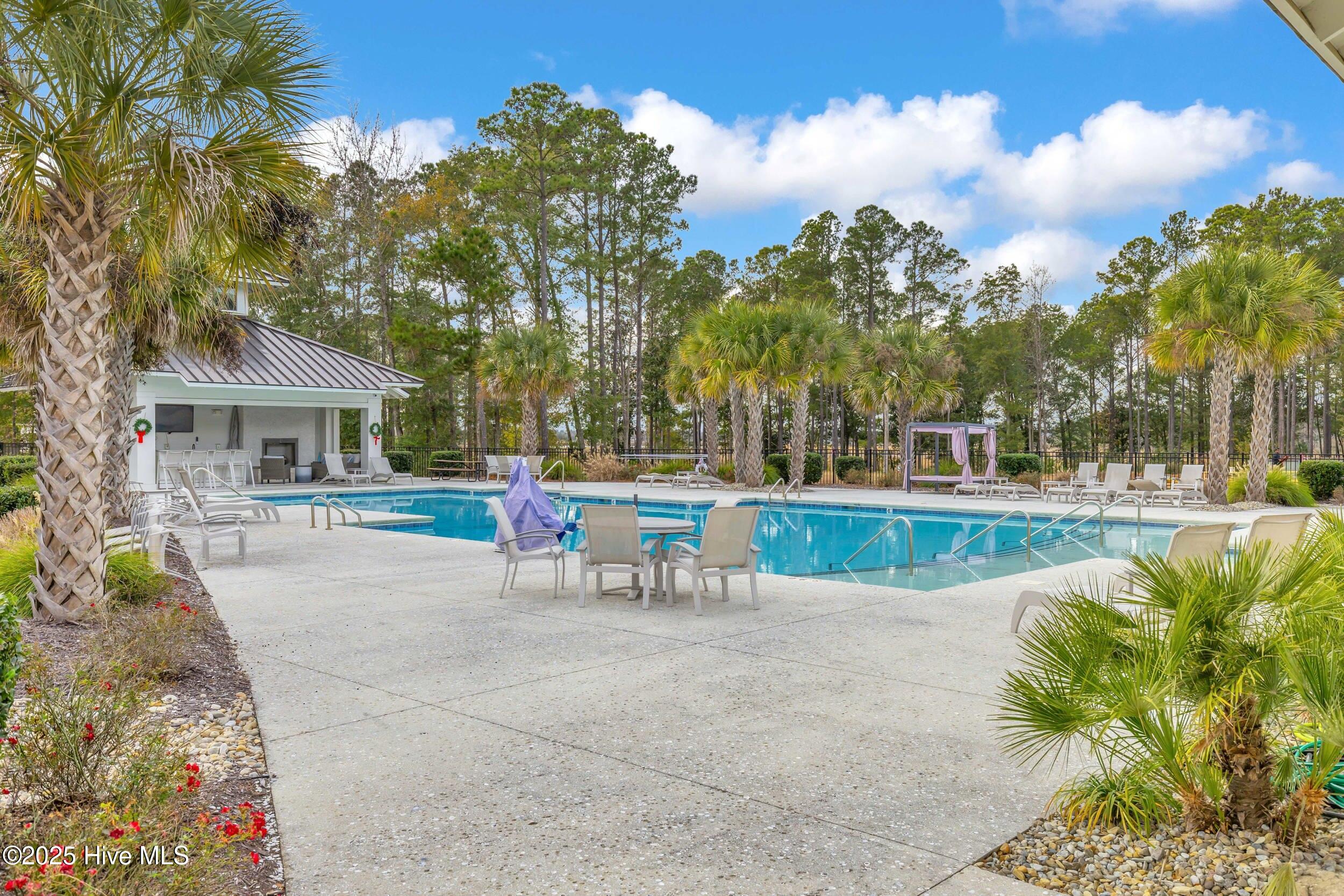 100564595 | Photo 42