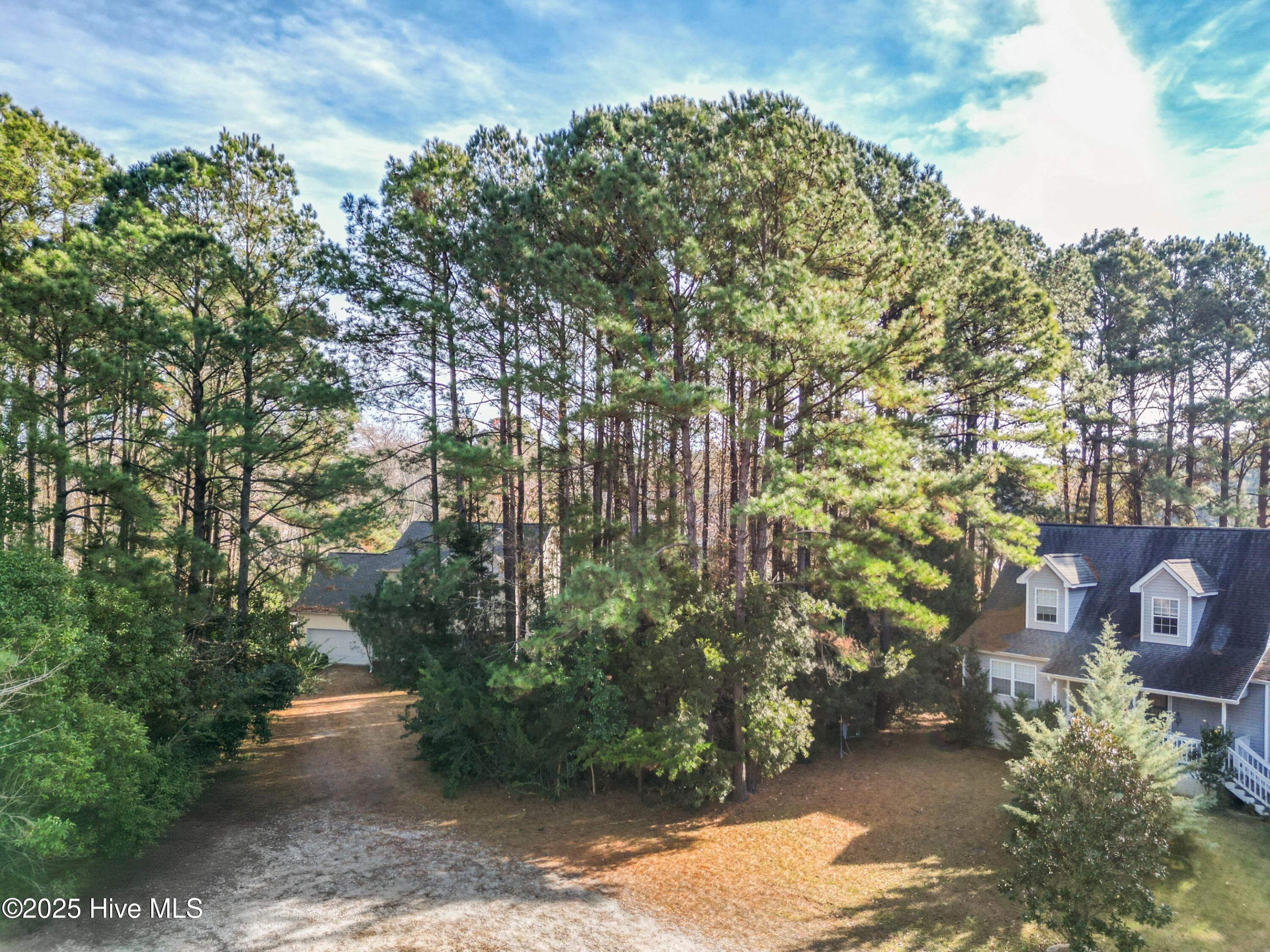 100546456 | Photo 10