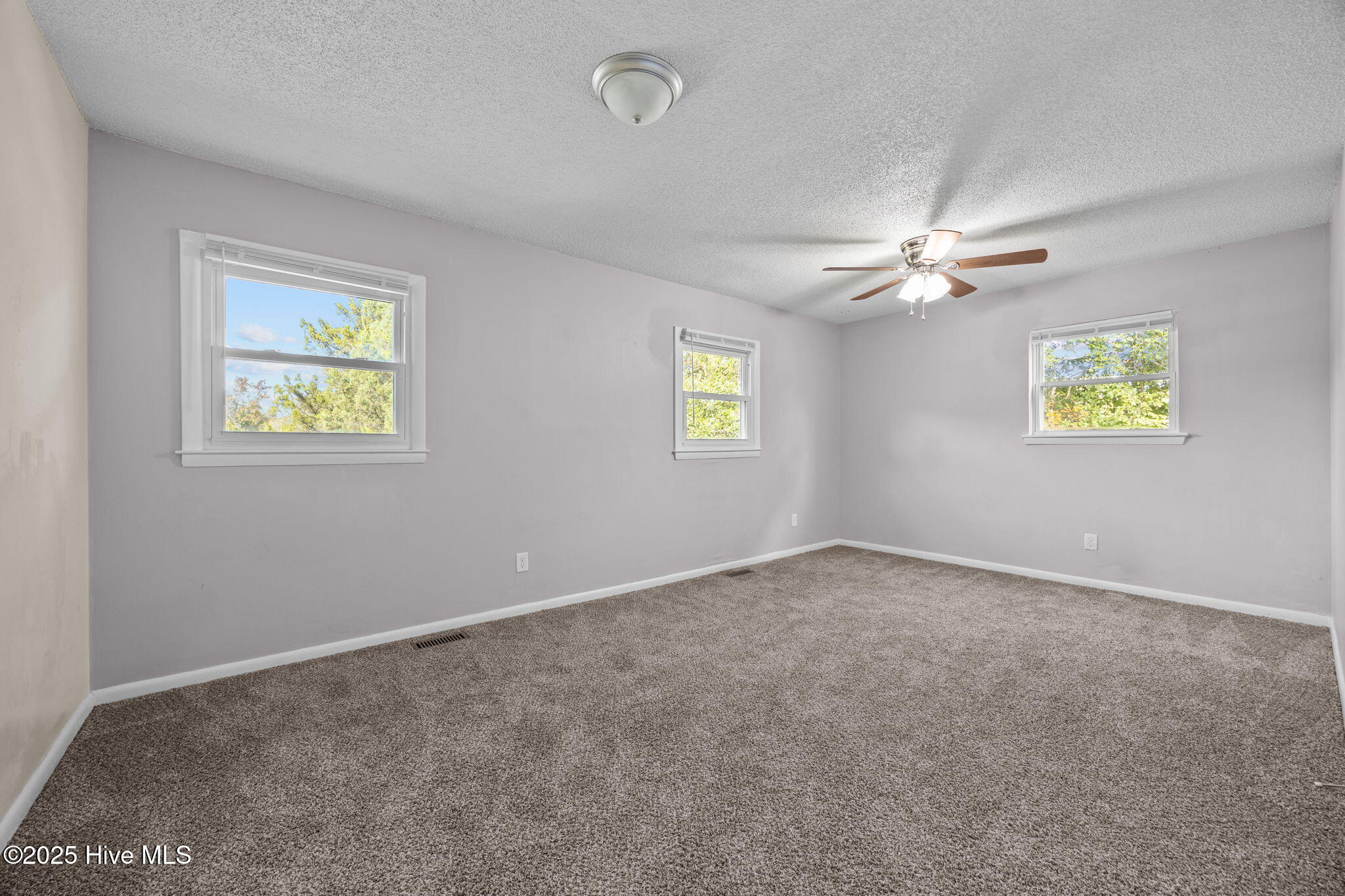 100539019 | Photo 25