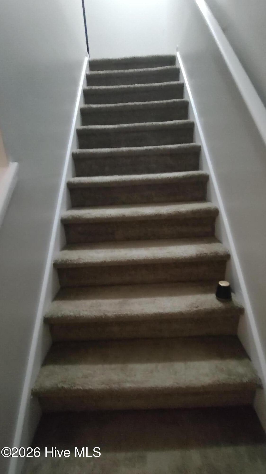 100547298 | Photo 10