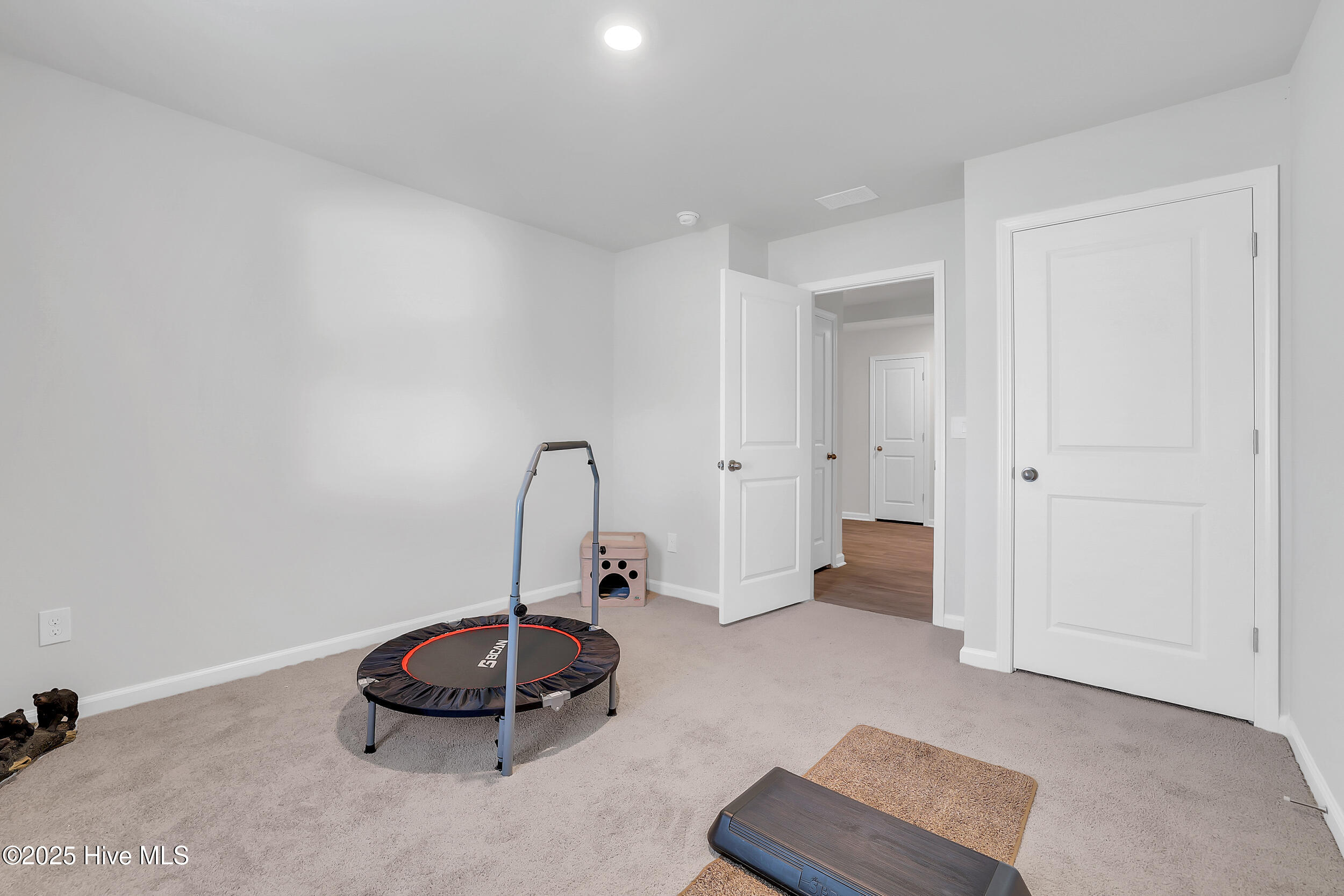 100515916 | Photo 12