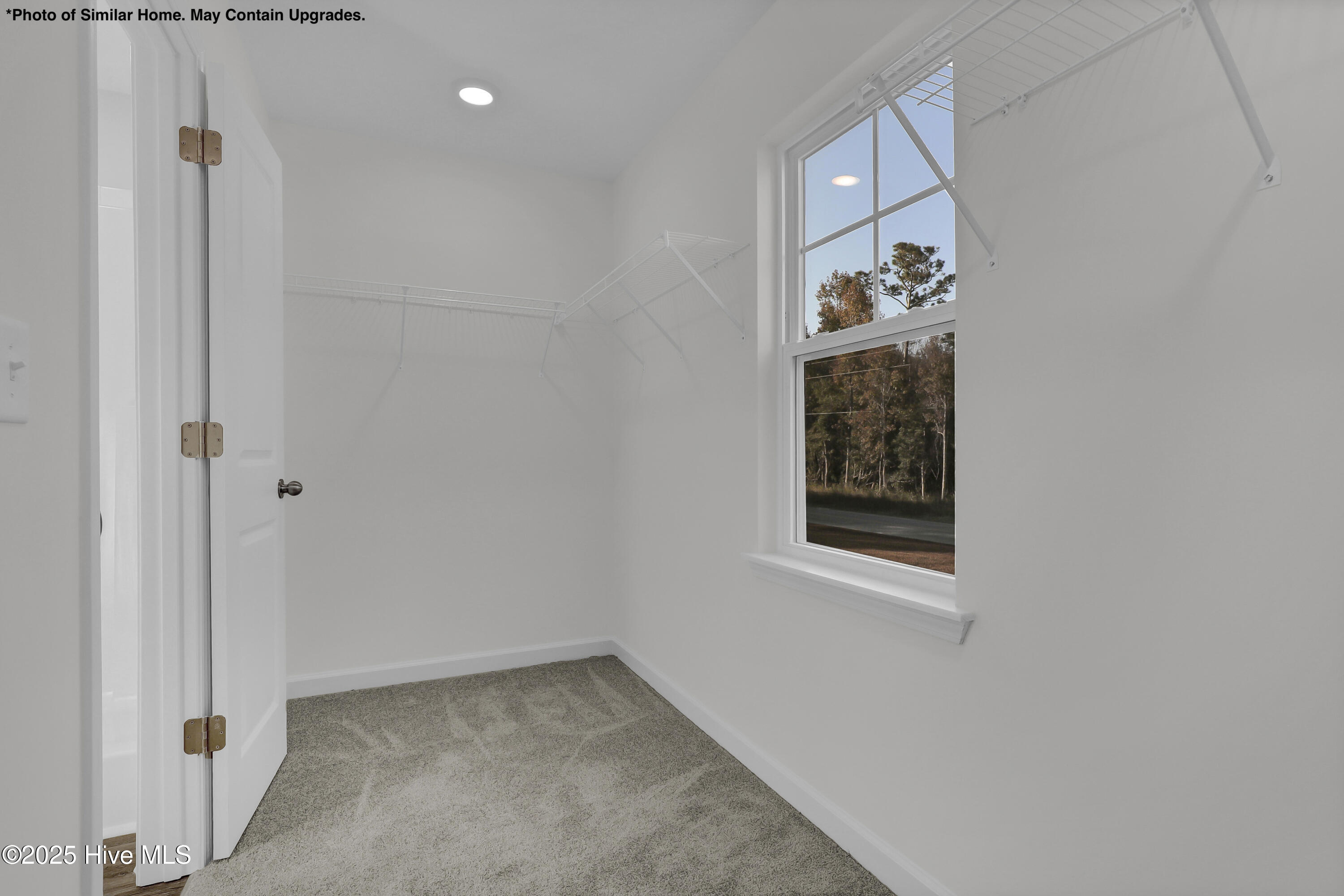 100514032 | Photo 19