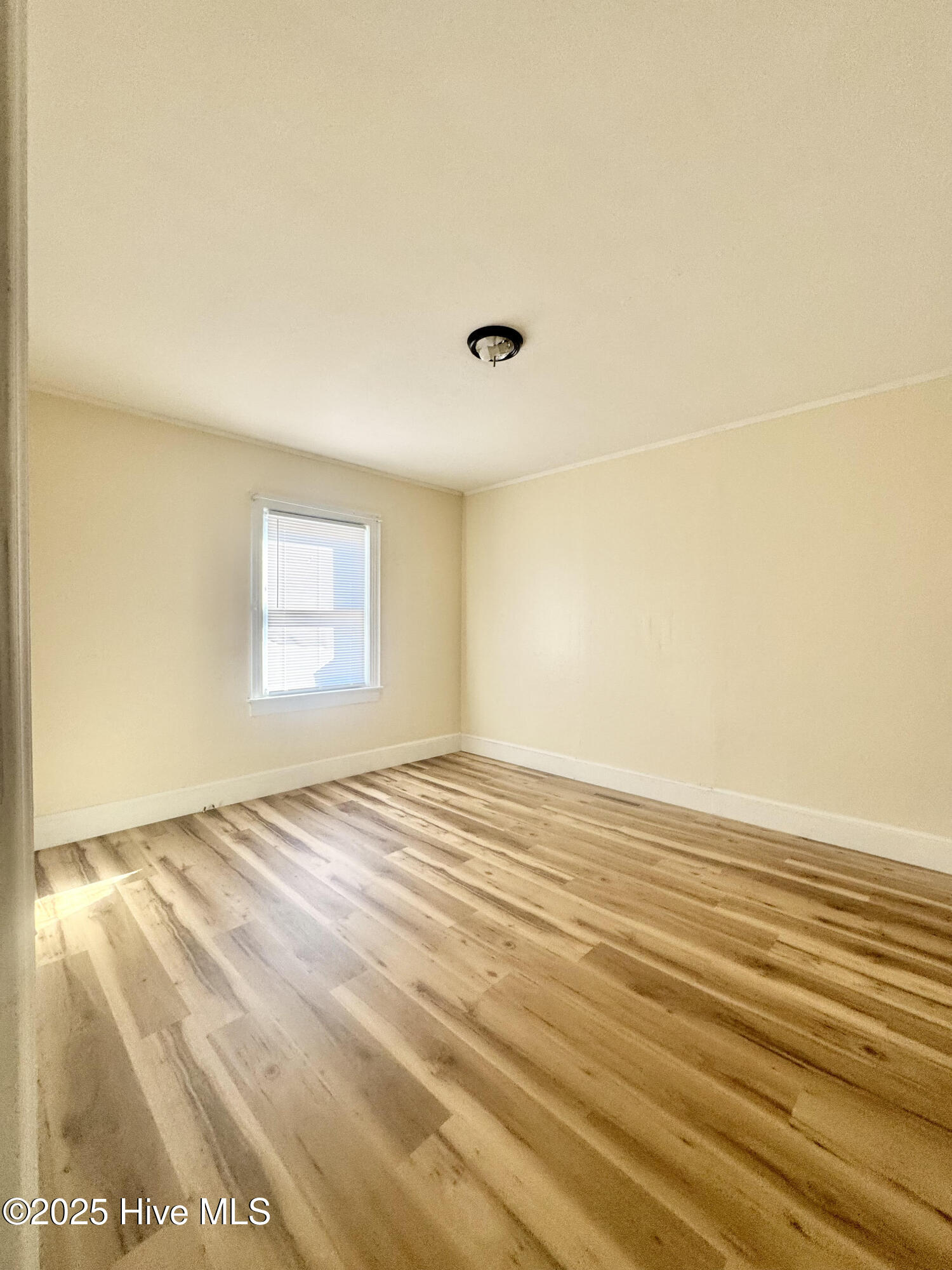 100546929 | Photo 13