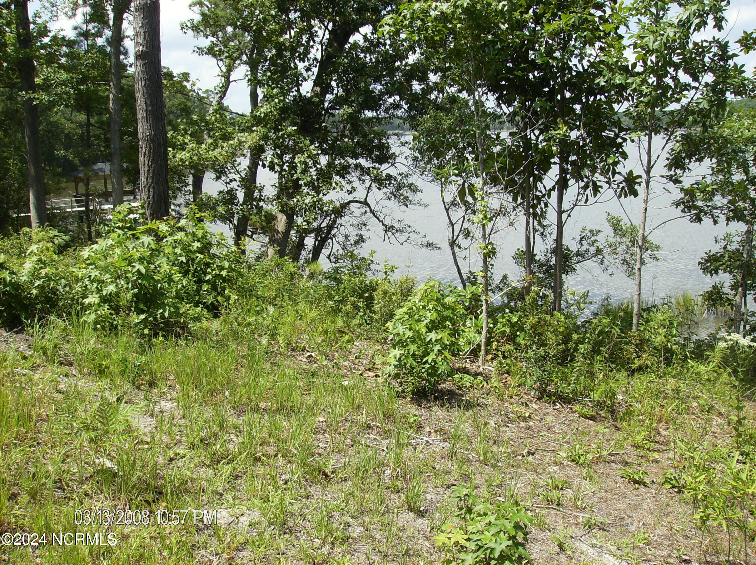 100459074 | Photo 15