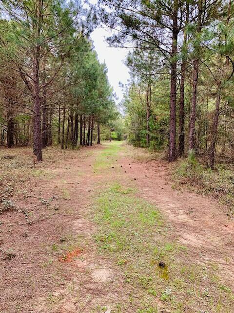 2405 HWY 88, Hephzibah, GA, 30815