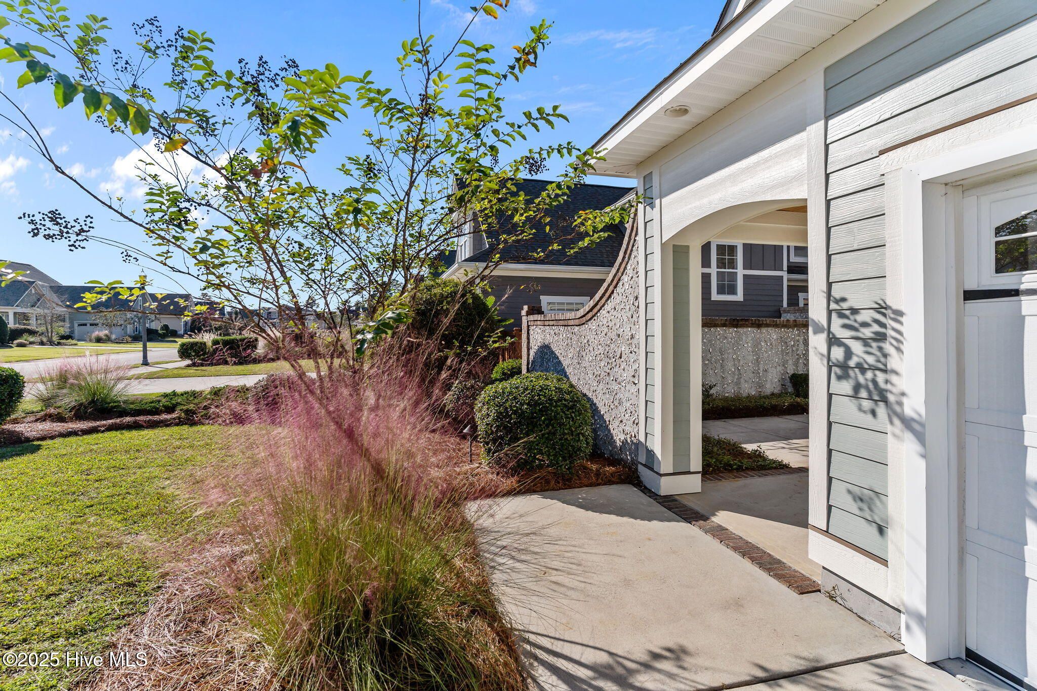 100536953 | Photo 52