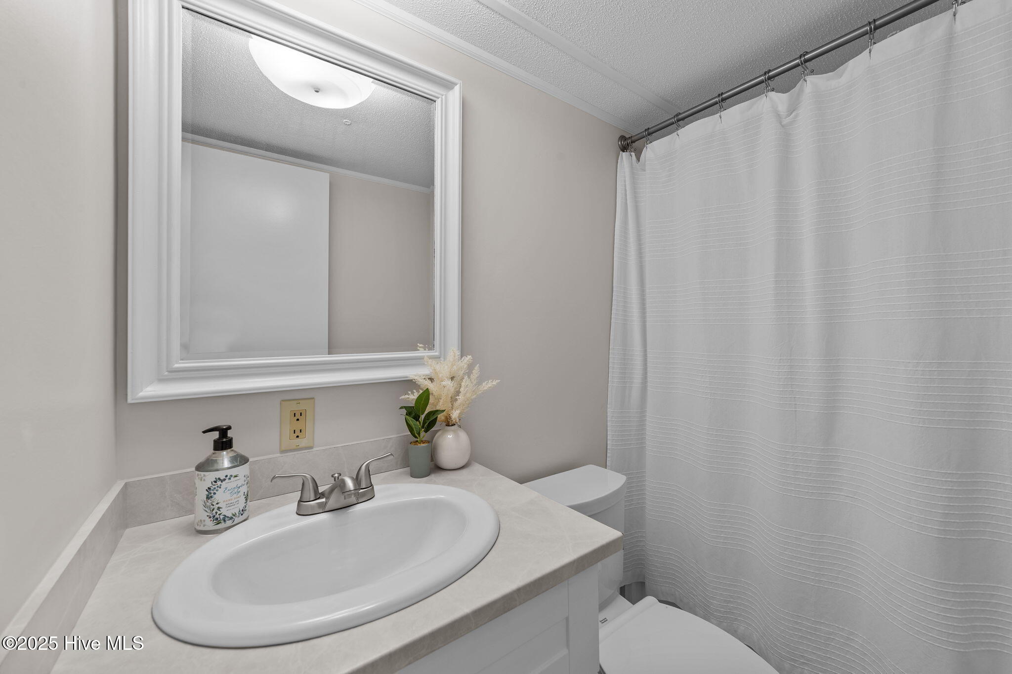 100536142 | Photo 16