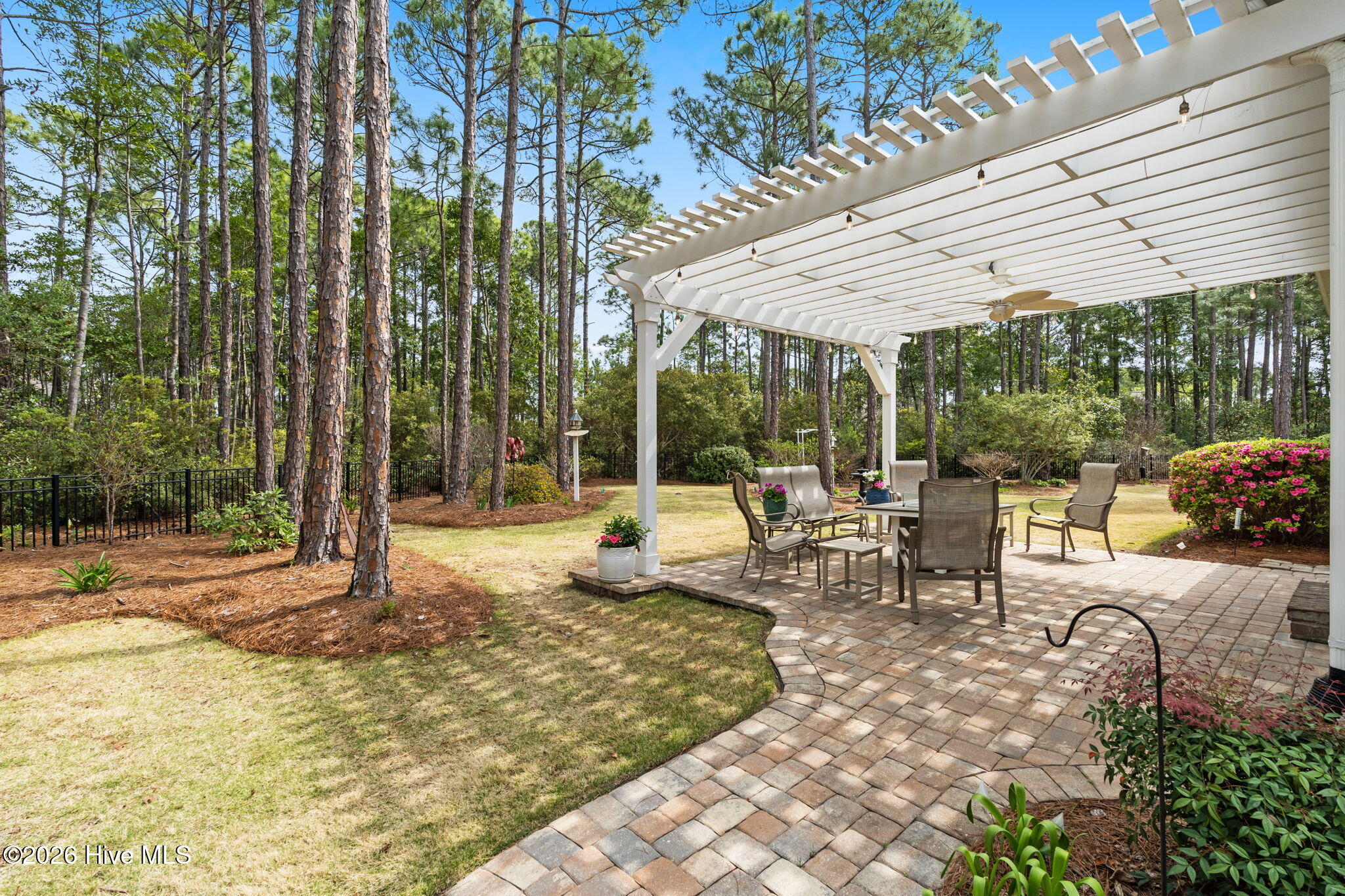 100566382 | Photo 53