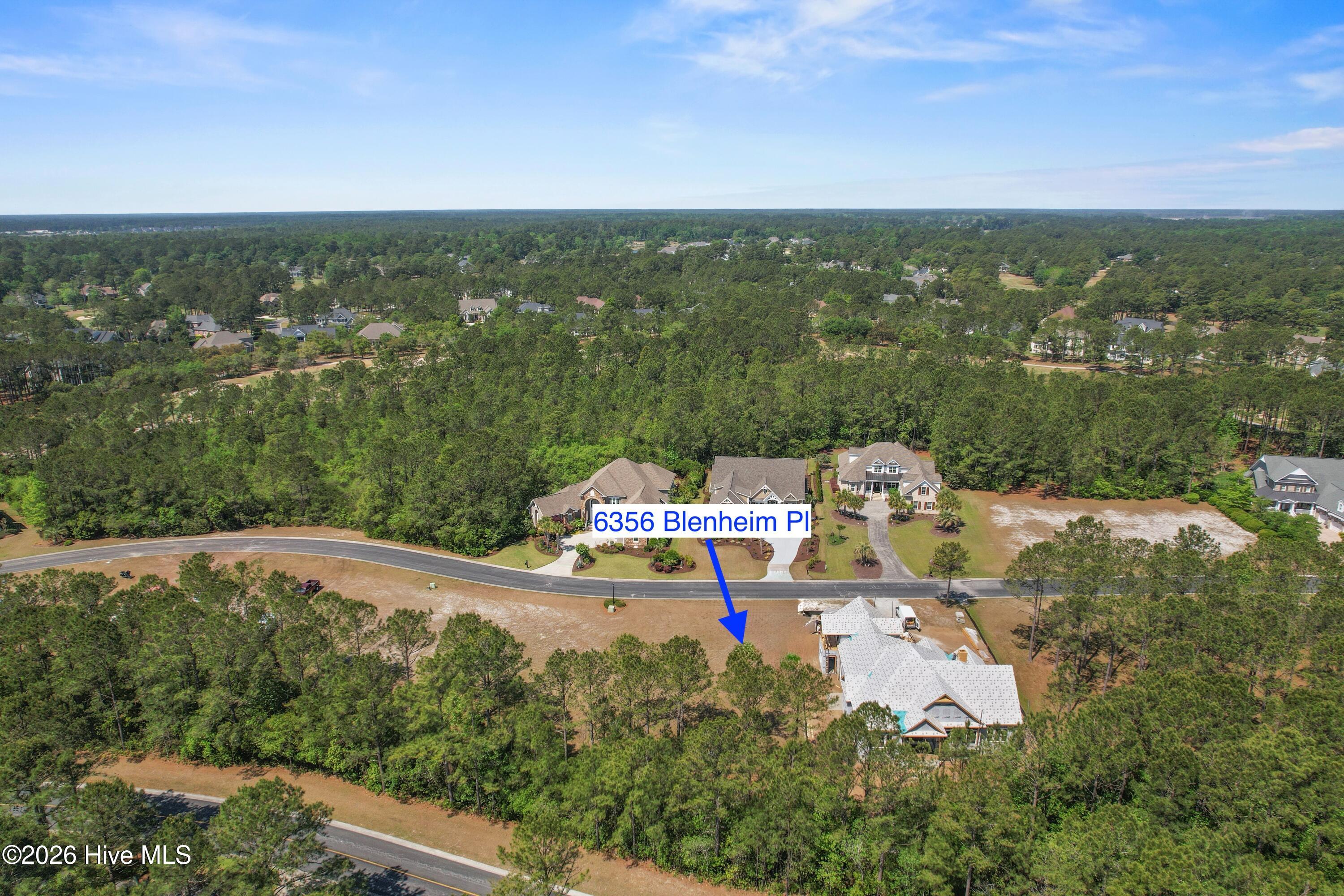 100570041 | Photo 12