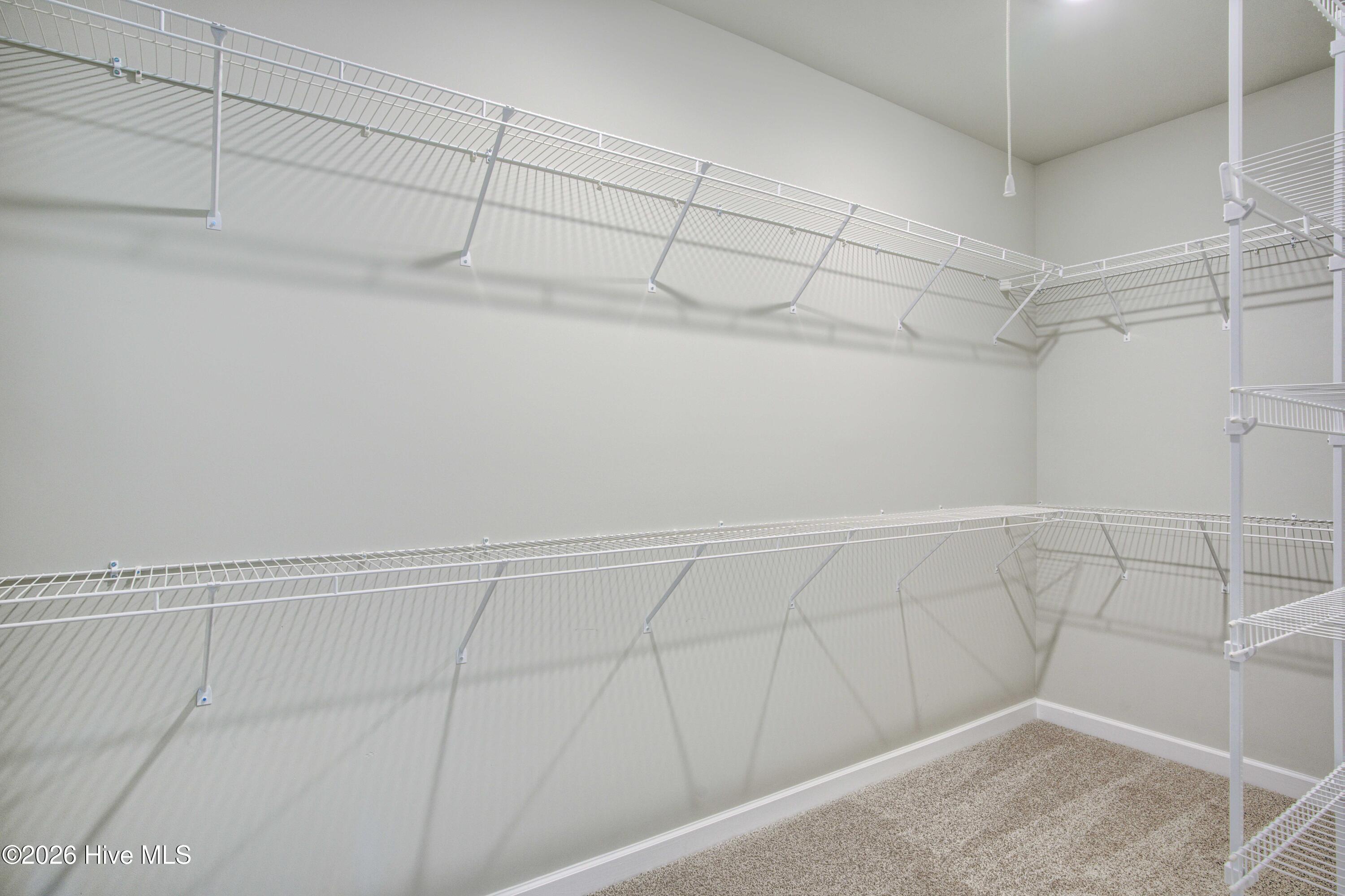 100526945 | Photo 23