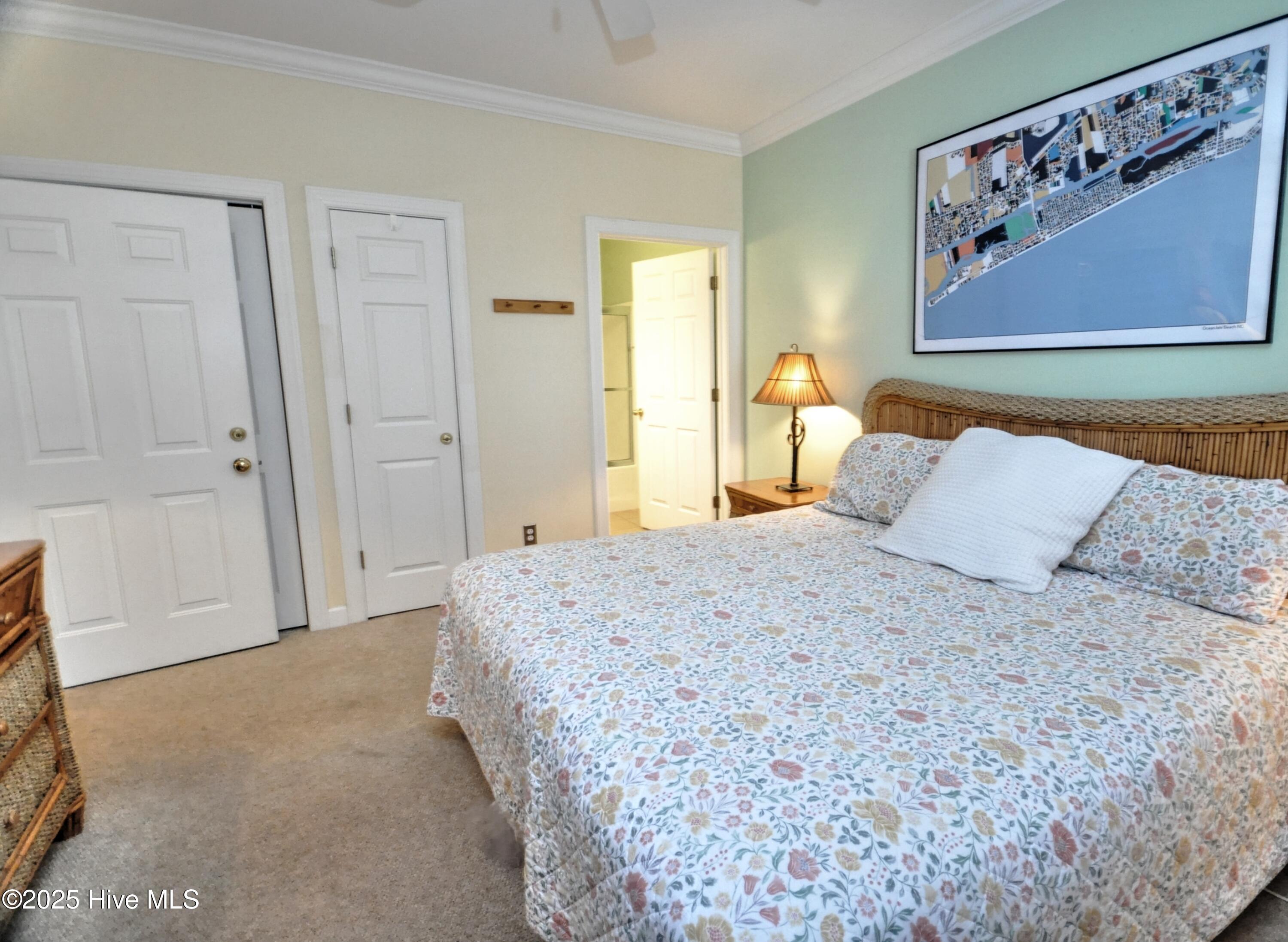 100546505 | Photo 31