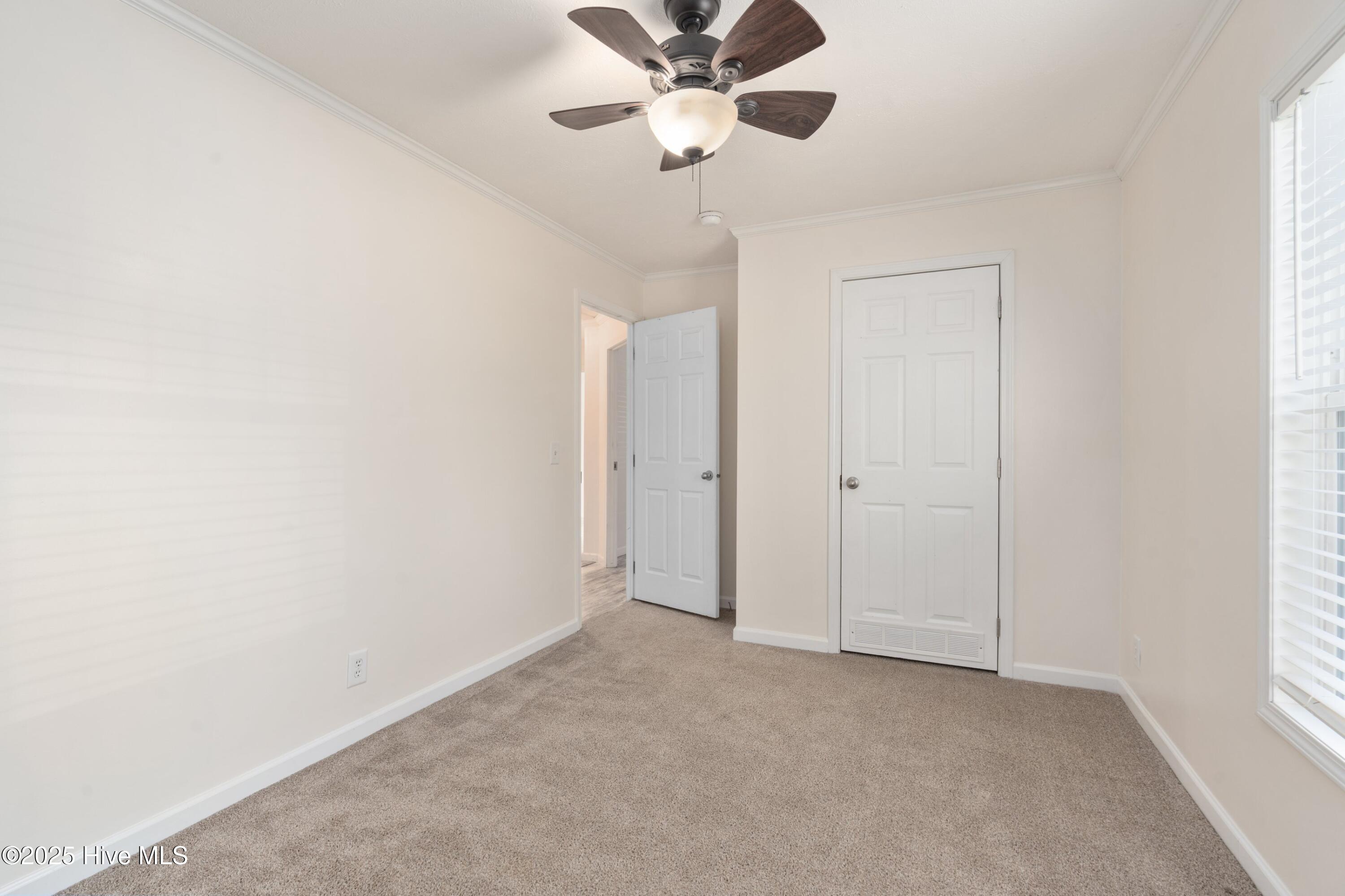 100538120 | Photo 16