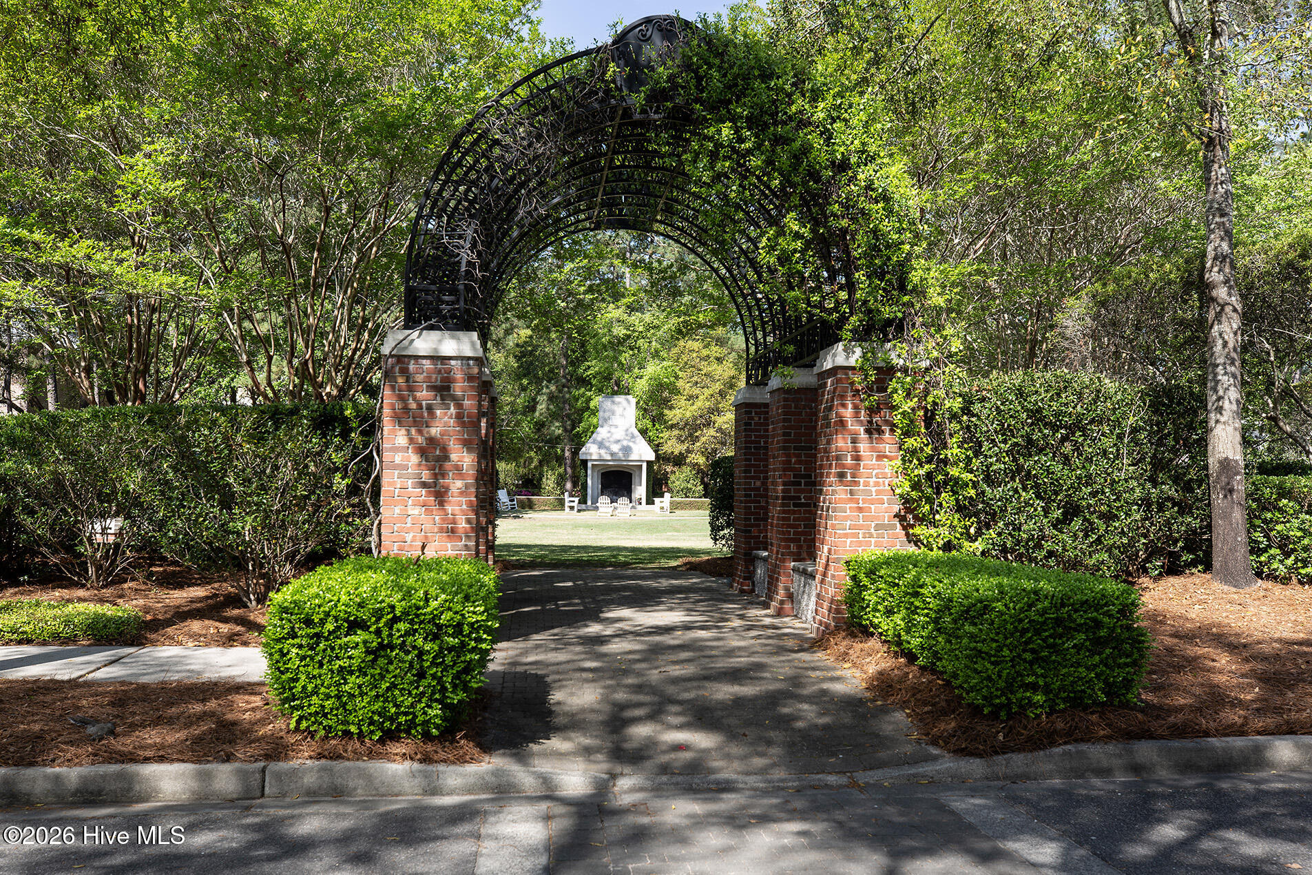 100563719 | Photo 58