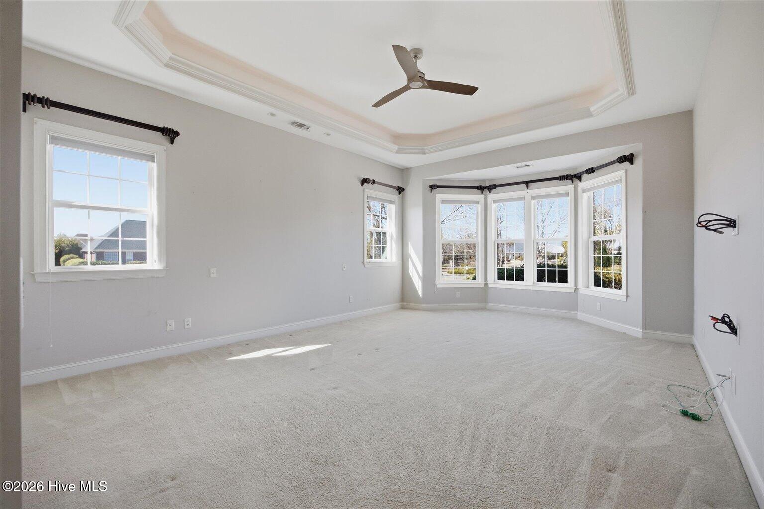 100557521 | Photo 24