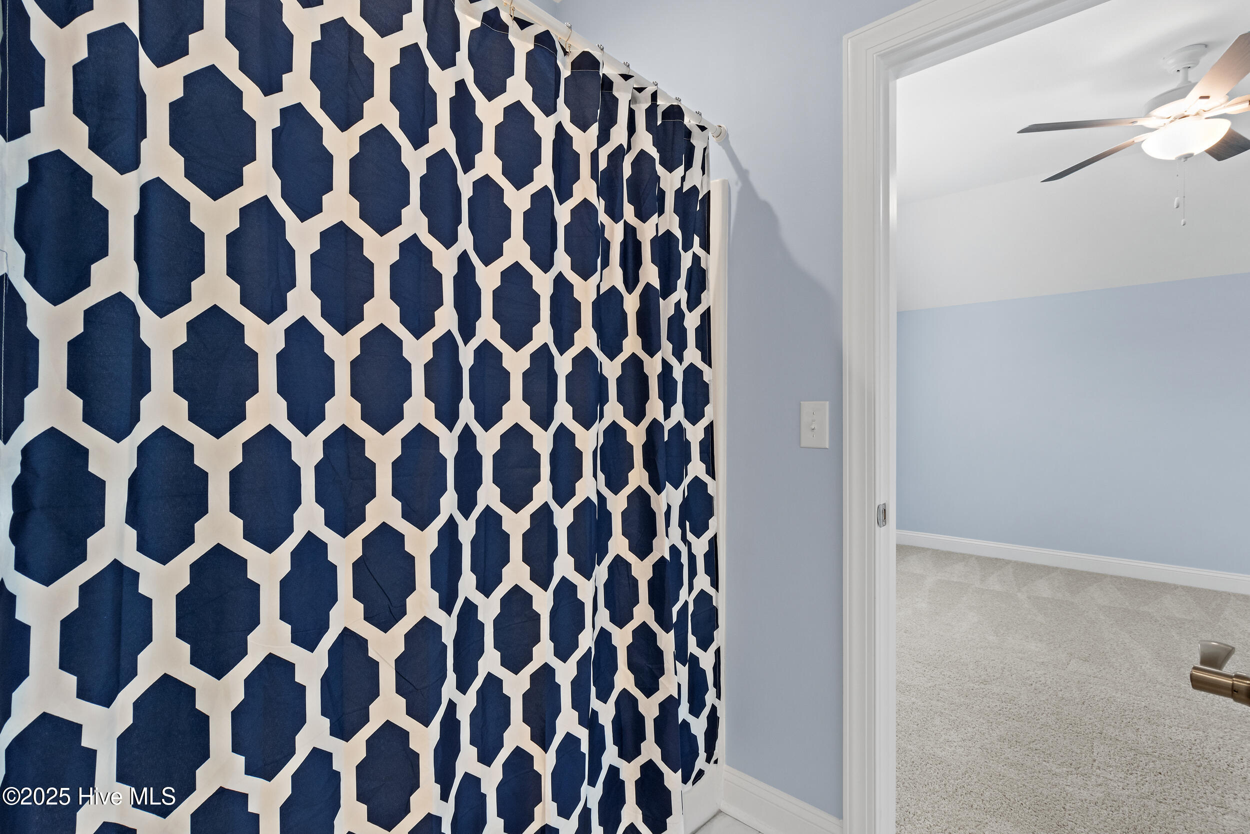 100536261 | Photo 33