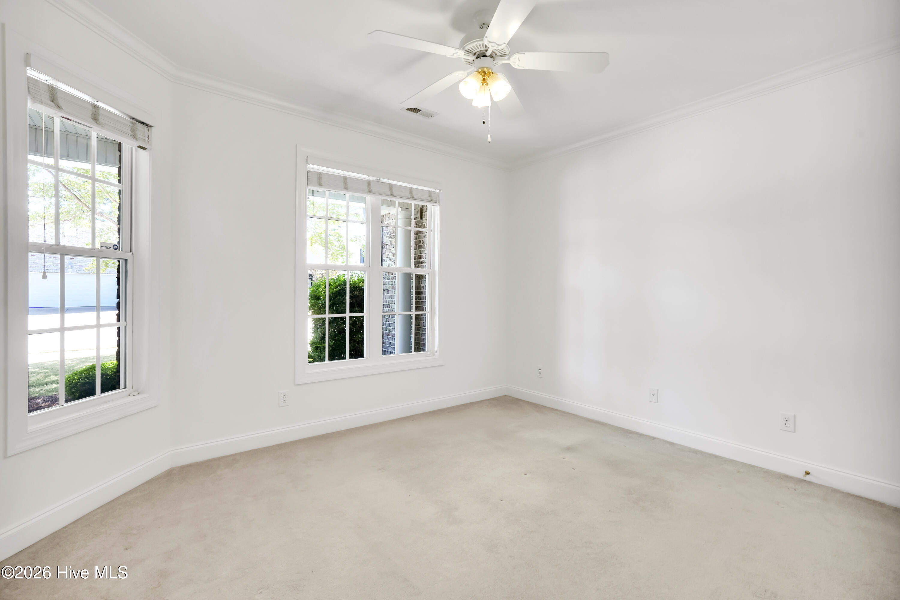 100554924 | Photo 26