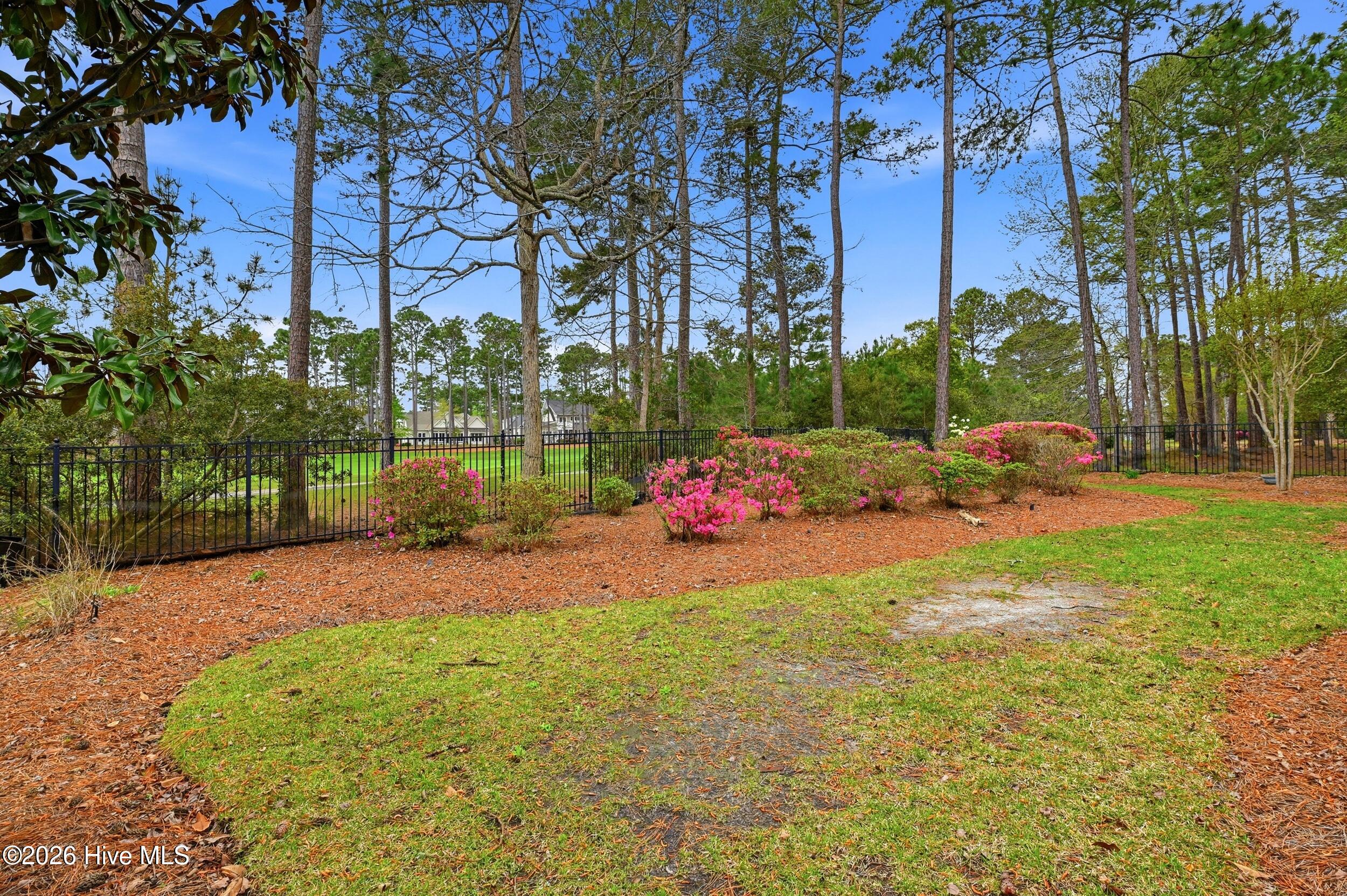 100566380 | Photo 52