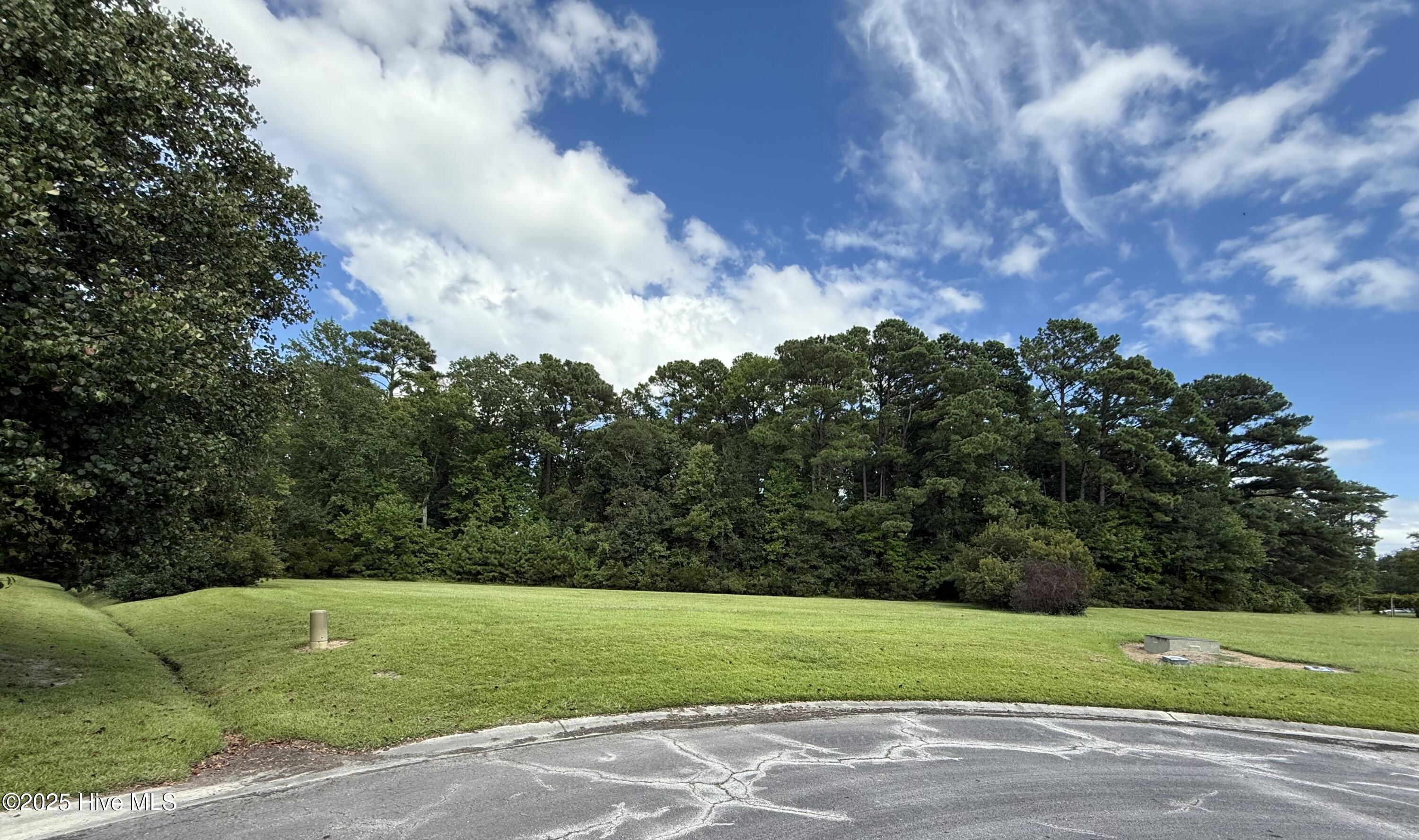 Homes for sale in Arapahoe, NC | 61 Edna Ct, Arapahoe, NC 28510 | MLS# 100529467