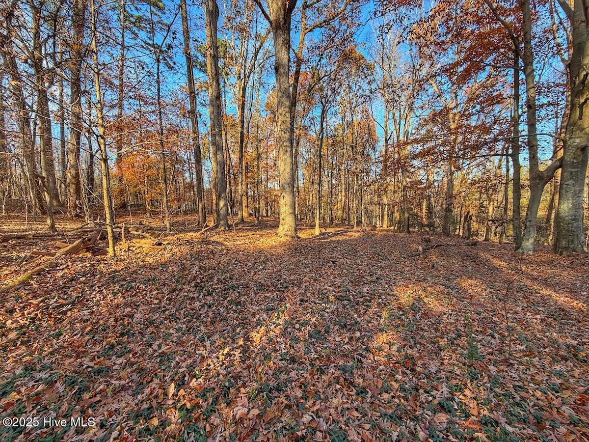 0 Mabry Mill Road, Henderson, NC, 27537