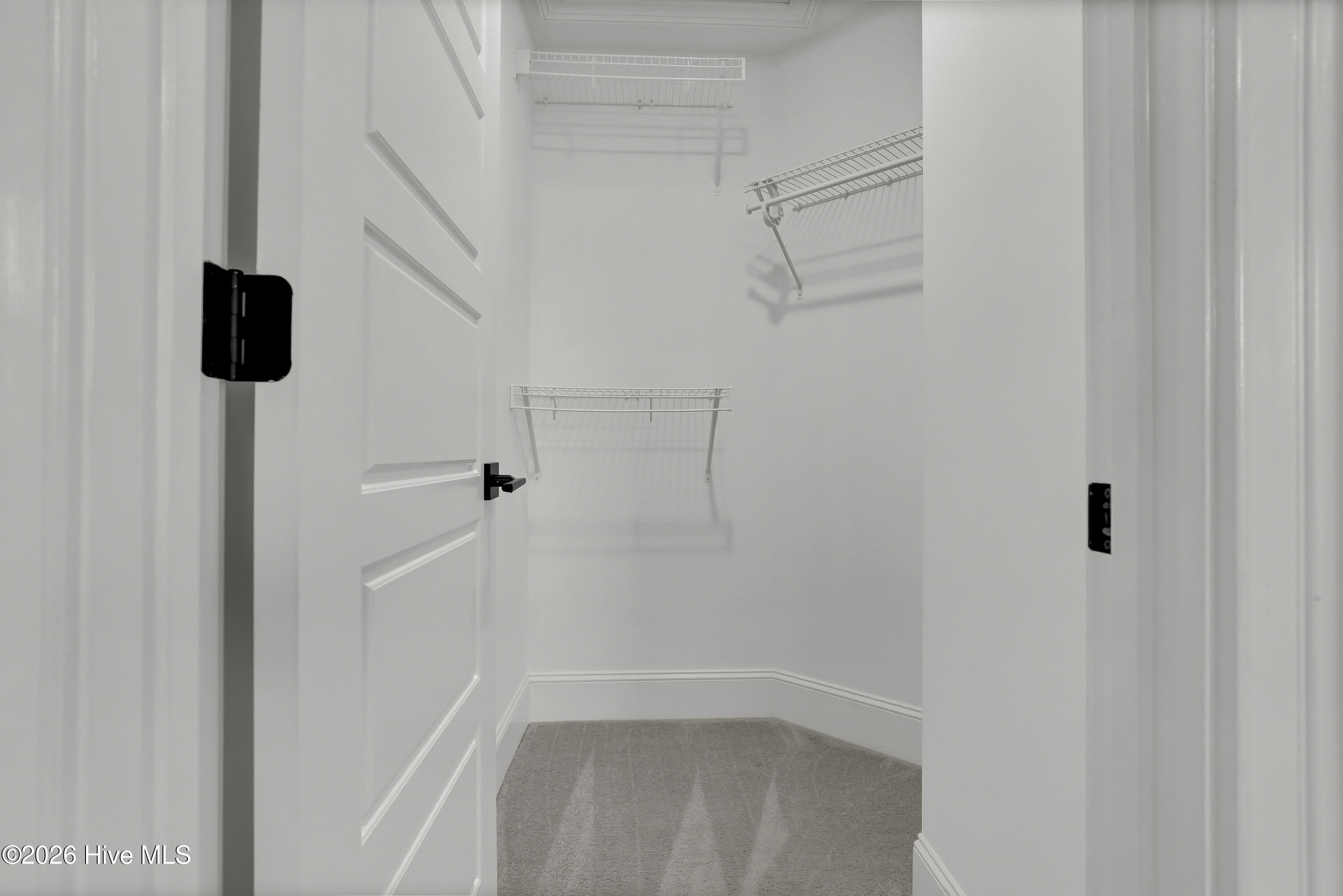 100558429 | Photo 36