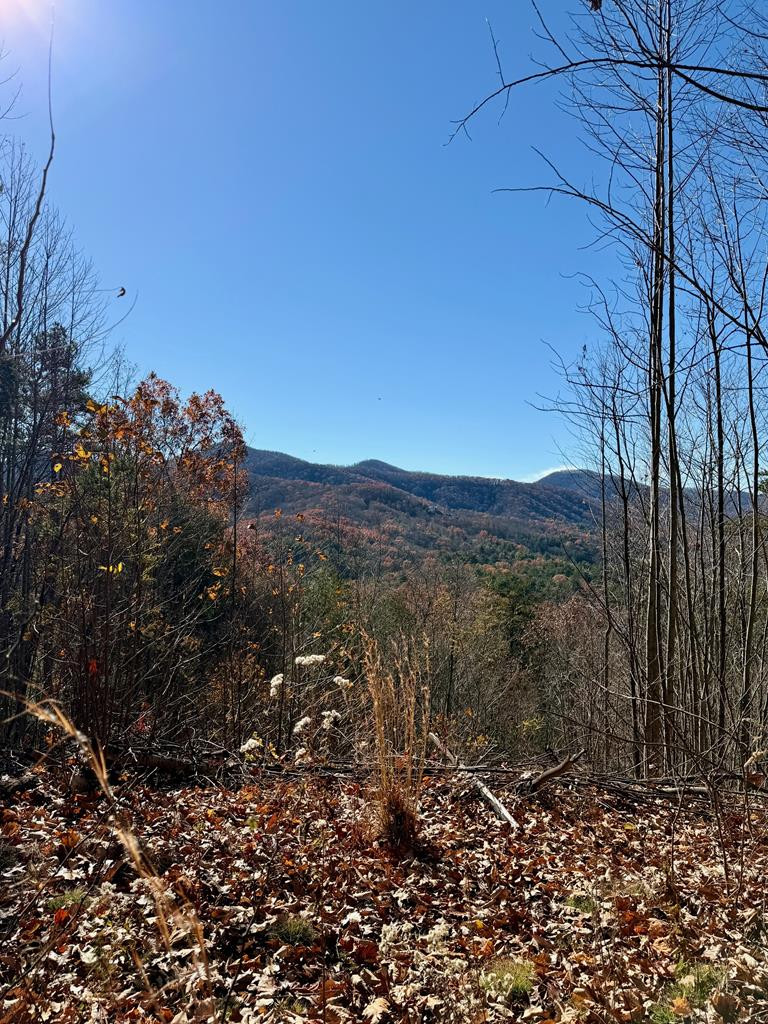 Exterior photo of Lot 13 View Ridge Trail, Murphy, NC 28906. MLS: 98524252