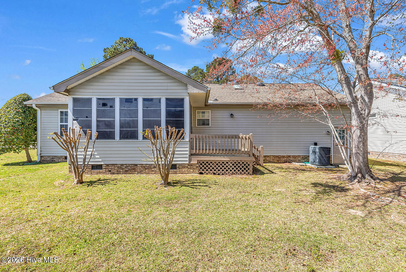 100563985 | Photo 23