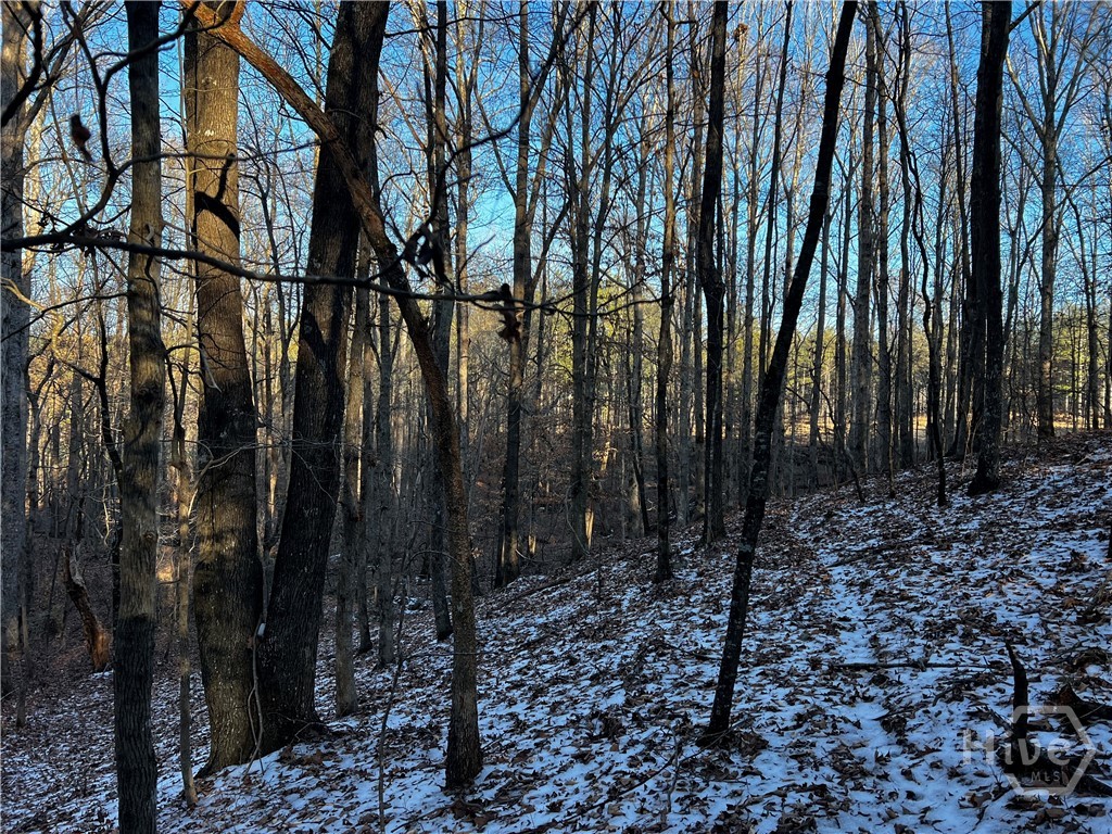 2285 Cherokee Road, Comer, GA, 30629