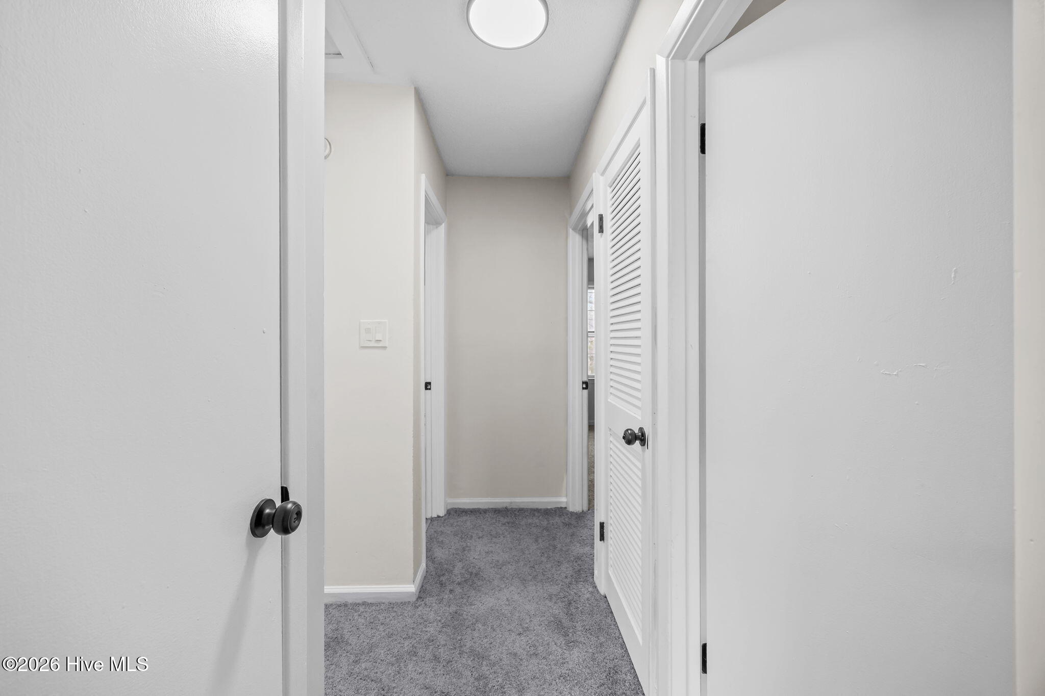 100555869 | Photo 38