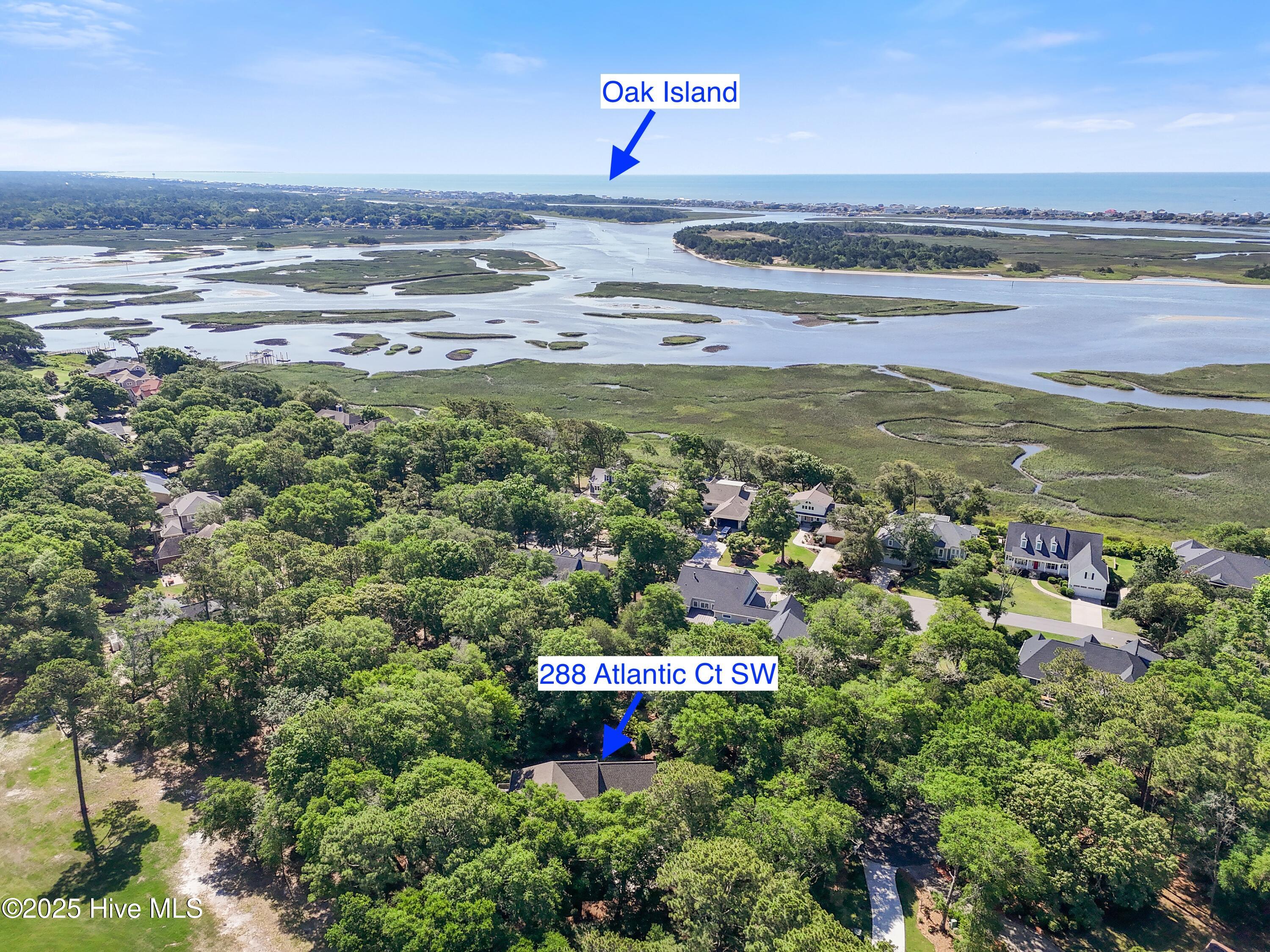 100509392 | Photo 54