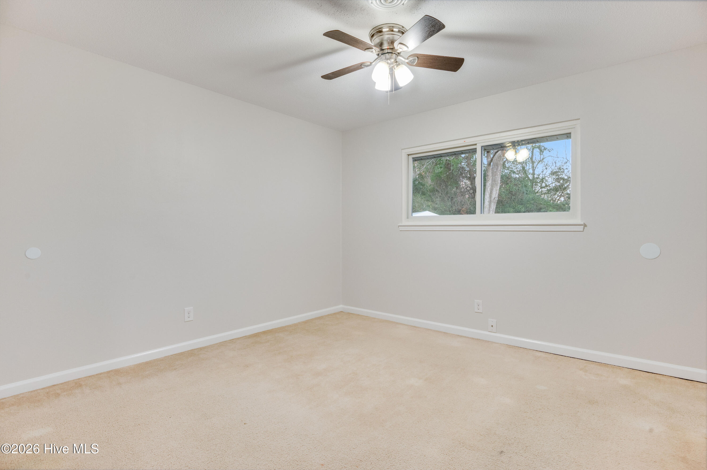 100547210 | Photo 18